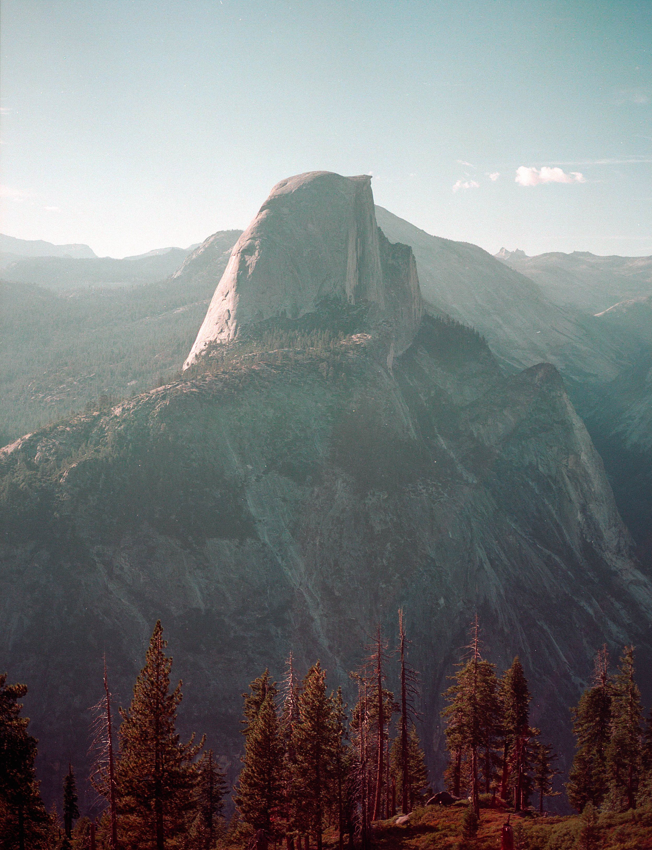 Portra160023.jpg