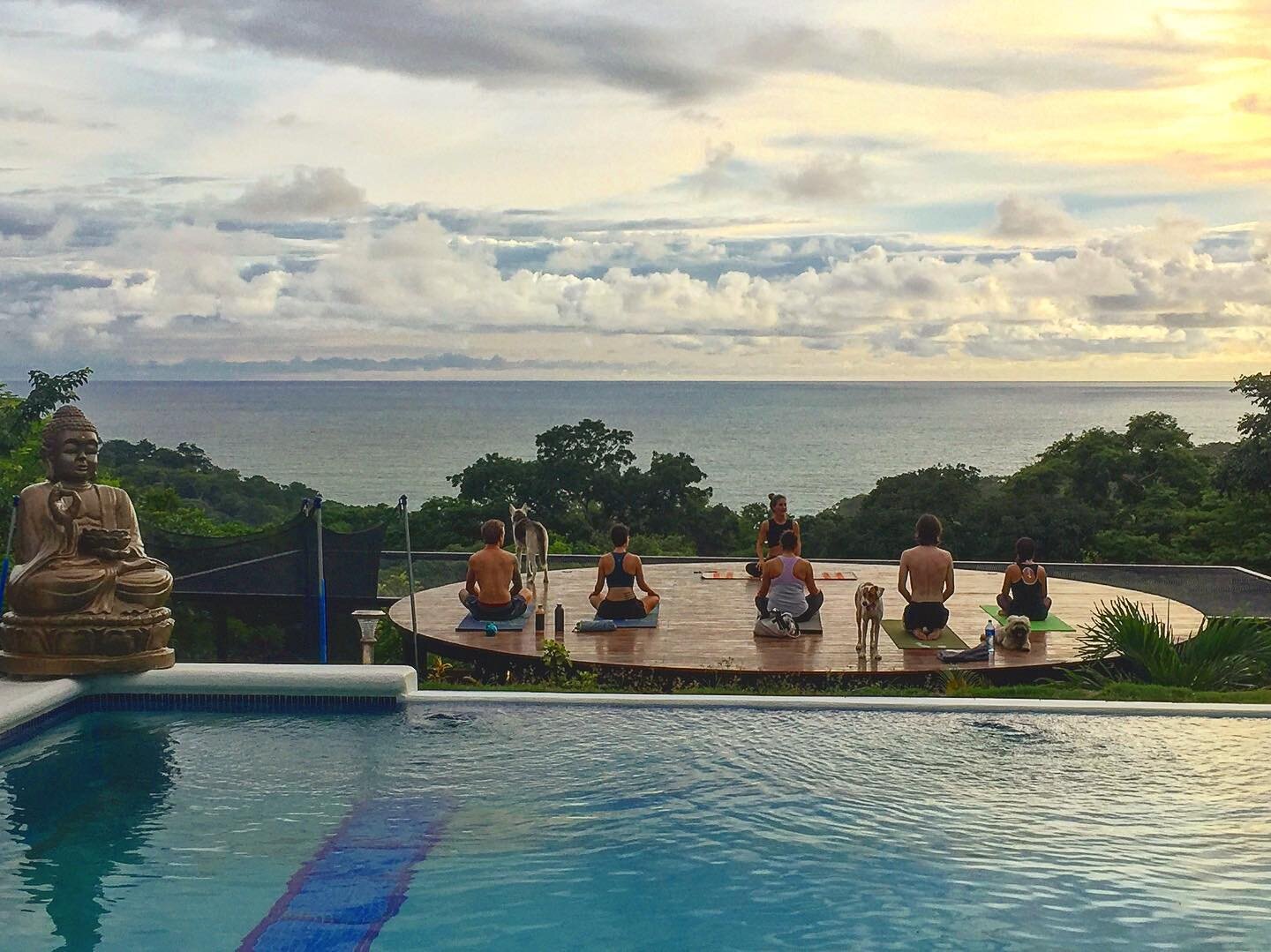 Have you separate your spot for our upcoming yoga retreat in November? Don&rsquo;t miss out this opportunity!! Surf , yoga, massages , sunset horse riding , jungle canopy , sunset catamaran trip and so much more fun surrounded by wild nature with thi