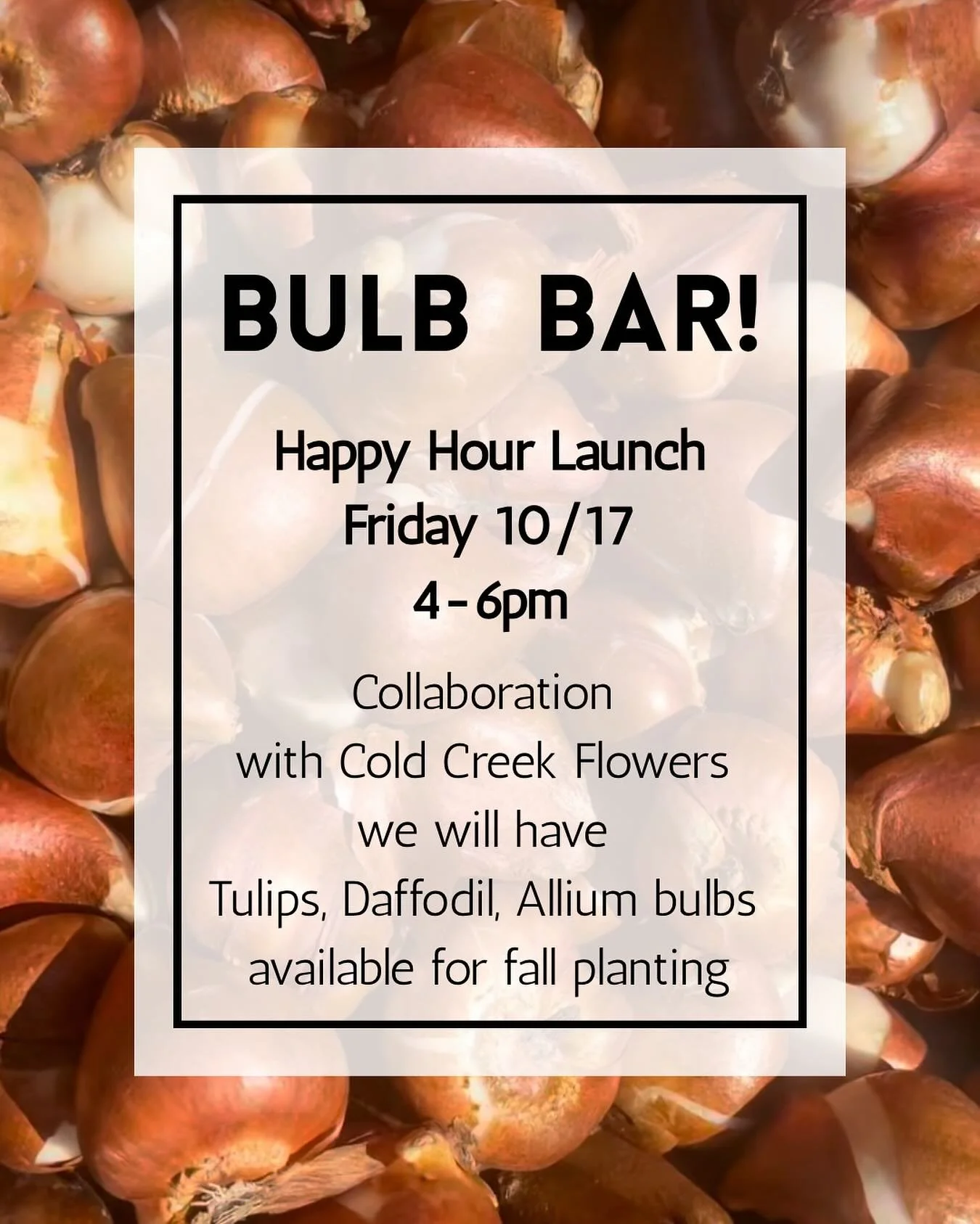 Next Friday 10/17 from 4-6pm we will be launching our first bulb bar at the shop with Elizabeth @coldcreekflowers.  We will have drinks and snacks available while you browse. The Bulb Bar will run through November 8th with bulb selections changing as