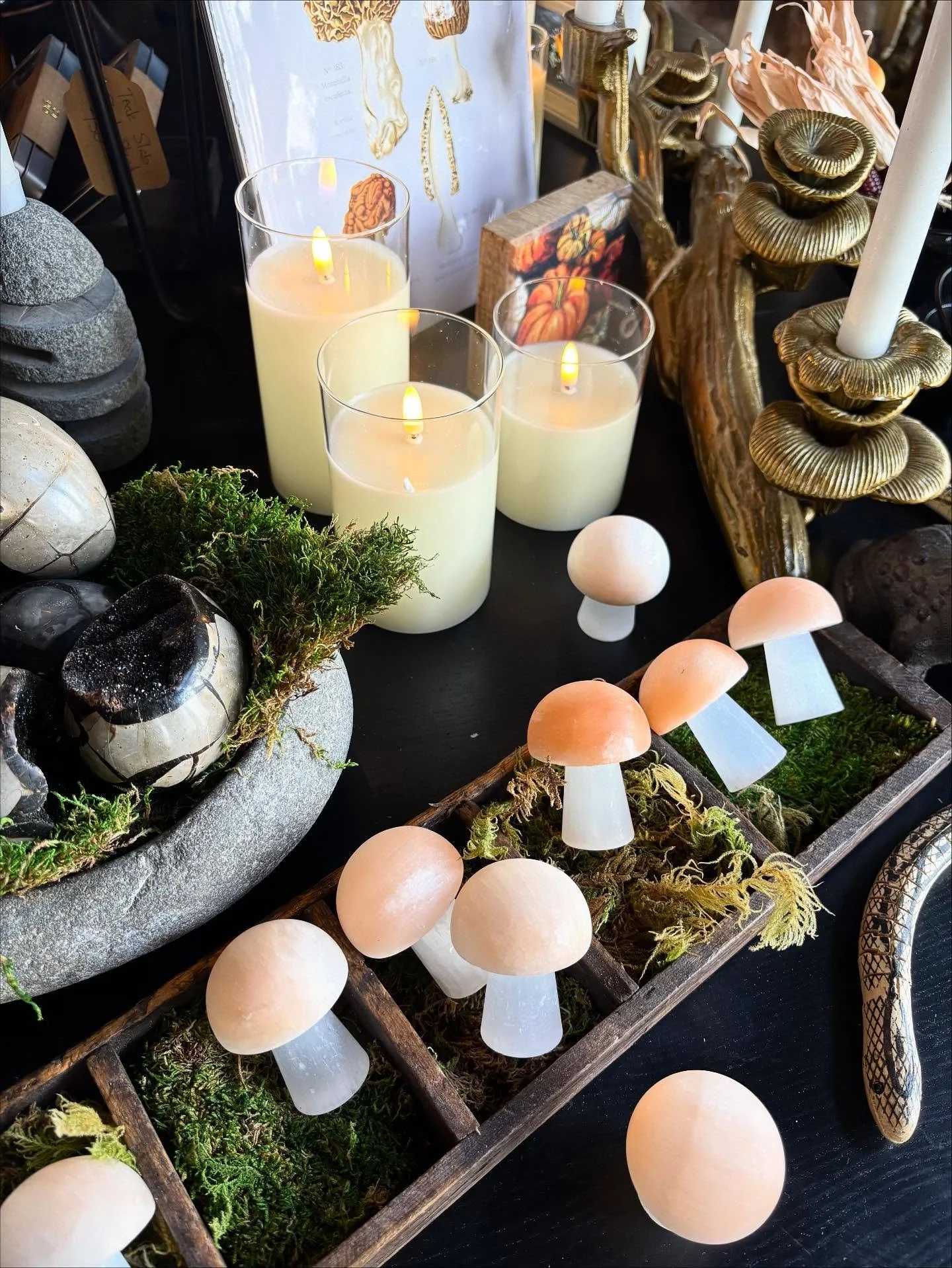 It’s no secret that we love mushrooms around here, but these selenite beauties have stolen our hearts.
Shop hours:
Wednesday- Friday 10:30am-5pm
Saturday 10am-4pm
Sunday-Tuesday: Closed