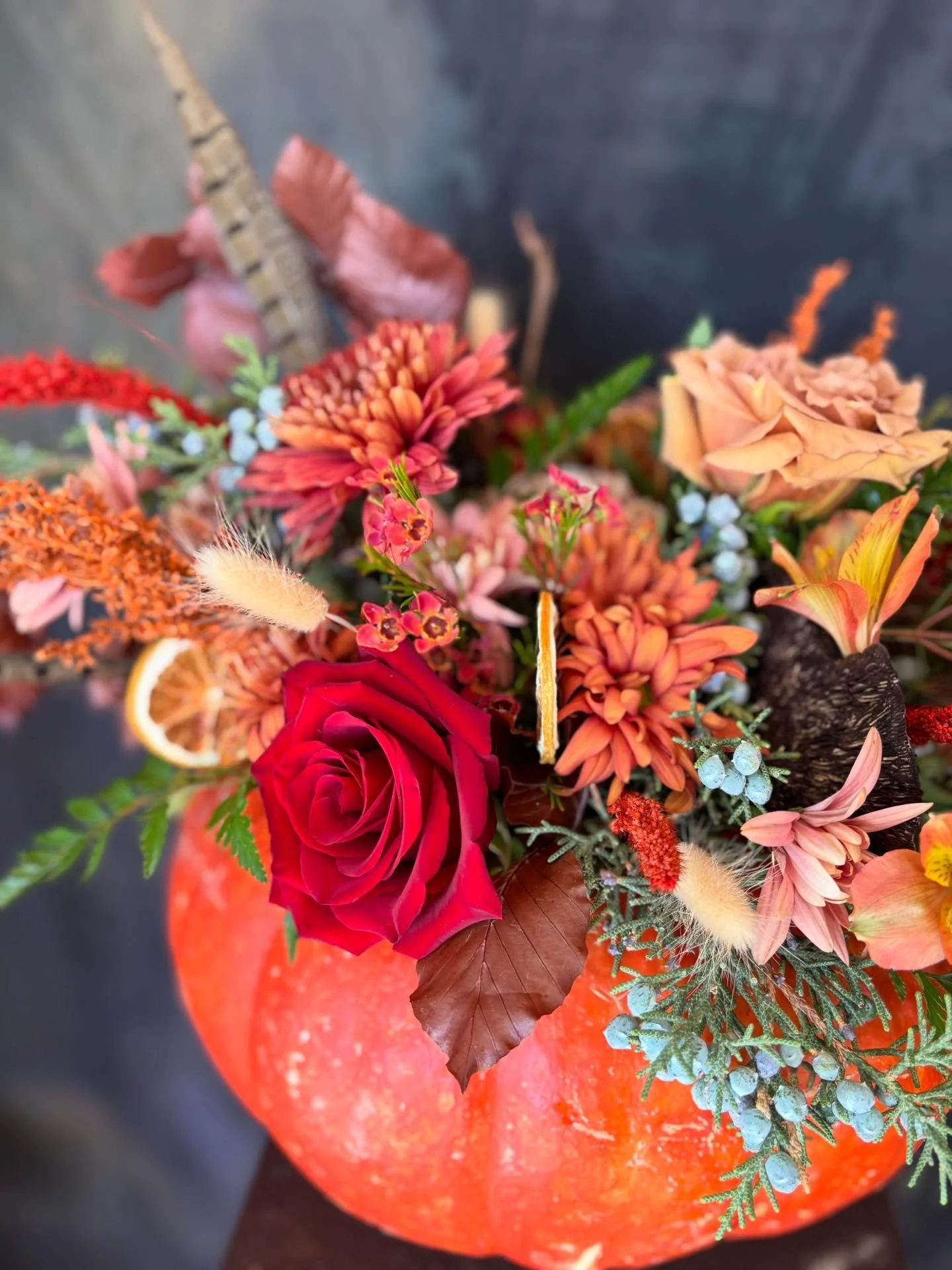 Happy Thanksgiving!! The last hurrah of fall!

Tomorrow, Friday 11/28 we will be open from 1- 8 pm for Merchants Night. 

Saturday 10am- 4pm