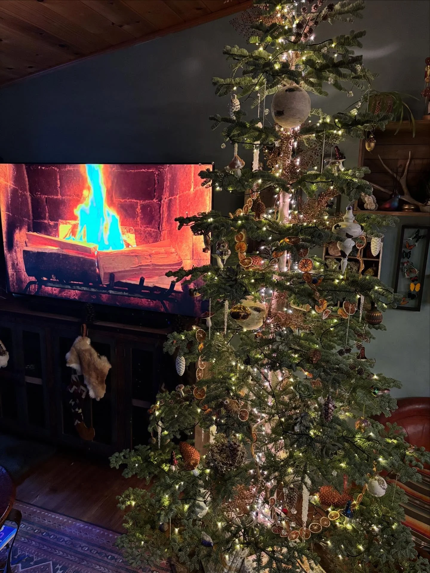 Our tree at home is usually more minimal than the trees at the shop but I always love it. 
Wishing everyone a very Merry Christmas! 
Share your trees with us in the comments, we&rsquo;d love to see them!
