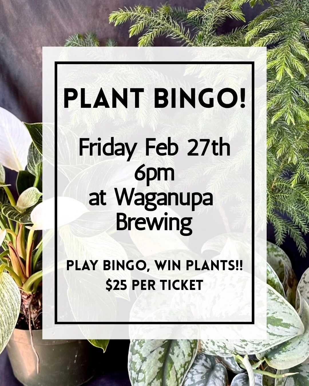 PLANT BINGO NIGHT! 

Join us for a night of plants, prizes, and pints!

📍 @waganupabrewery on the Peninsula) 
🗓 Friday, Feb 27
⏰ 6:00 PM

🎟 Ticketed Event &mdash; $25
Your ticket includes:
✔ Entry
✔ A bingo card
✔ One beer 🍺

Win one of TEN amazi