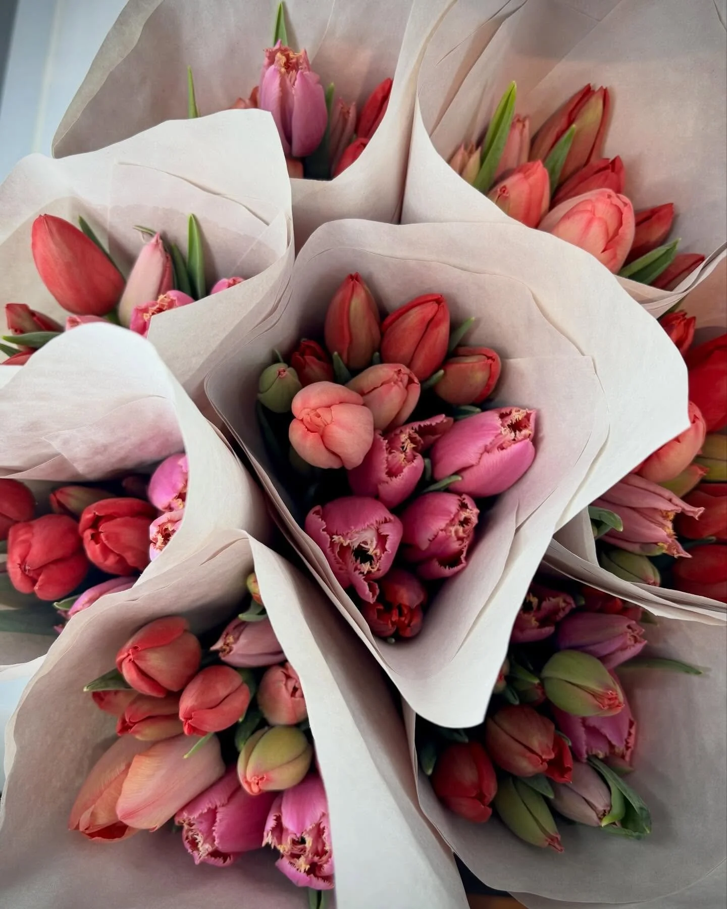 Elizabeth from @coldcreekflowers dropped off her tulip club subscriptions today! If you are on her list we have your pickup ready! 

If you&rsquo;re not on her subscriptions you are in luck because we also carry single stems for arrangements in our c