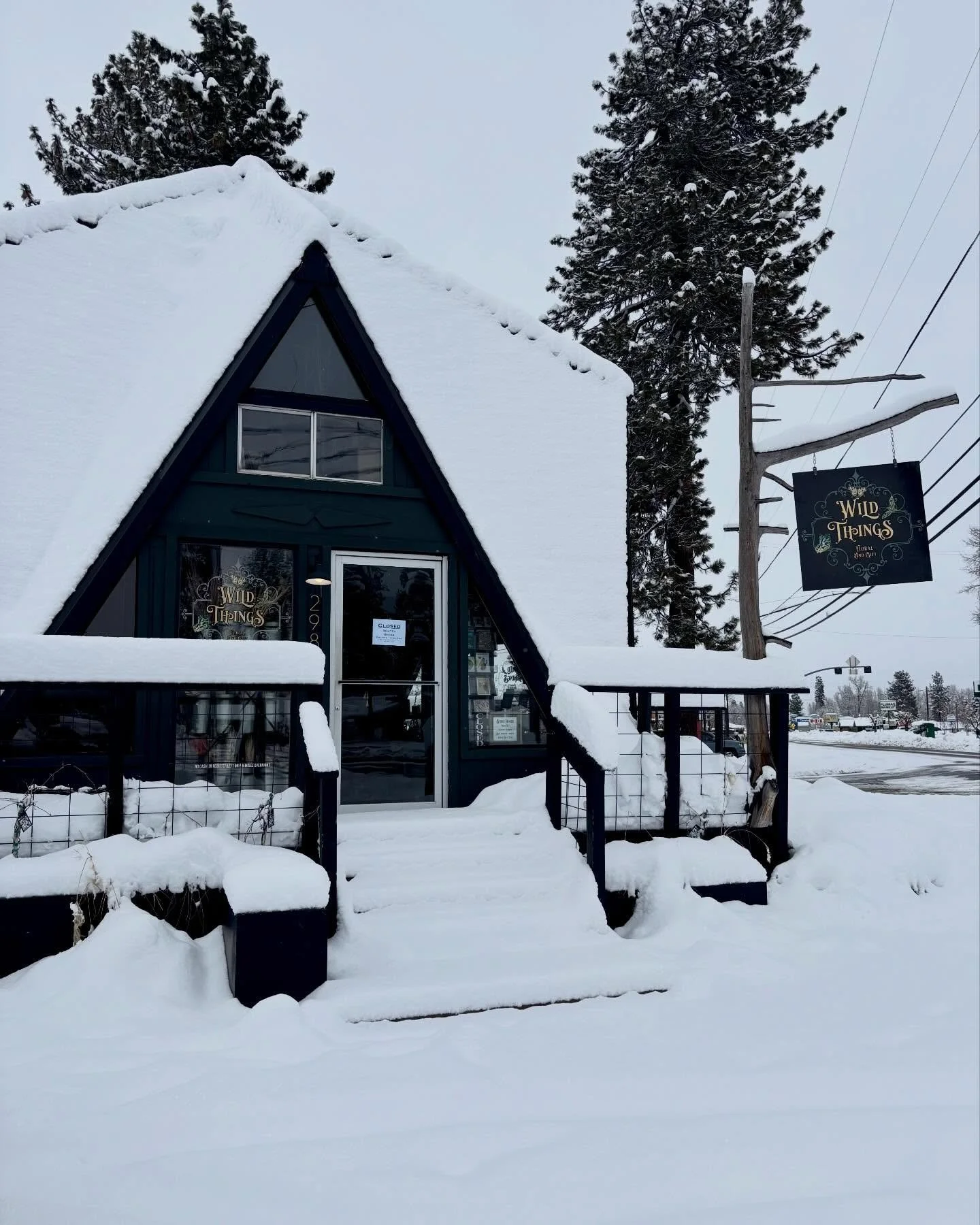We are officially closed for our winter break. We are having slow mornings and enjoying the snow. 

We will be back April 3rd with a grand spring reopening with lots of new artists! 

In the meantime we are reorganizing, getting some long awaited pro