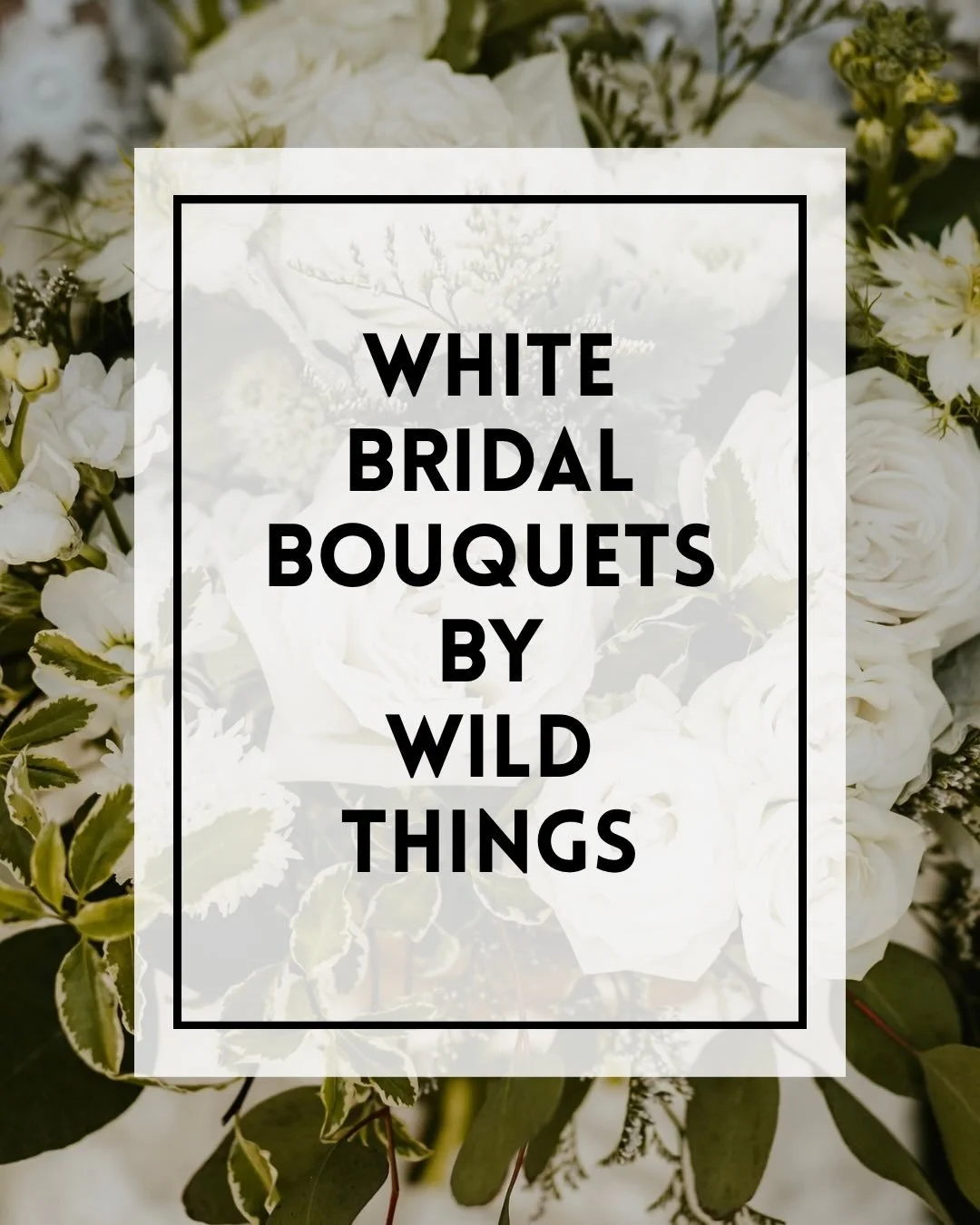 A collection of our white bridal bouquets; classic, textural, and endlessly romantic.
Tell us your favorite in the comments 

Photos by:
1. @nadiamartinweddings 
2. @austynelizabeth 
3. Fletcher&rsquo;s Photography
4. @katelynandersonphotography 
5. 