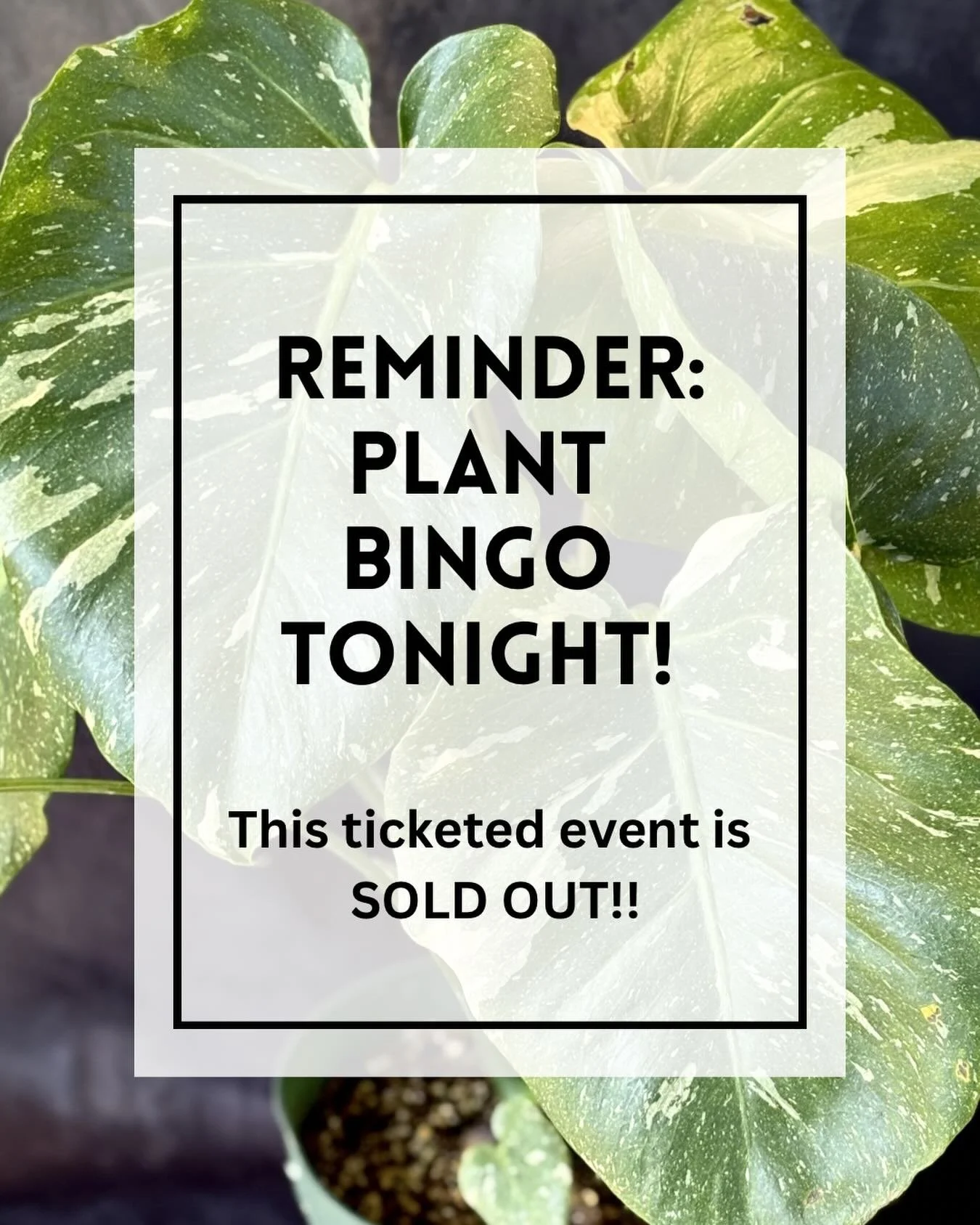 Plant Bingo Night is SOLD OUT!

We can&rsquo;t wait to see everyone who grabbed tickets. Join us at 6PM for a fun-filled evening @waganupabrewery 

Reminder:
👉 Don&rsquo;t forget to bring your tickets so you can grab a drink and jump right into the 