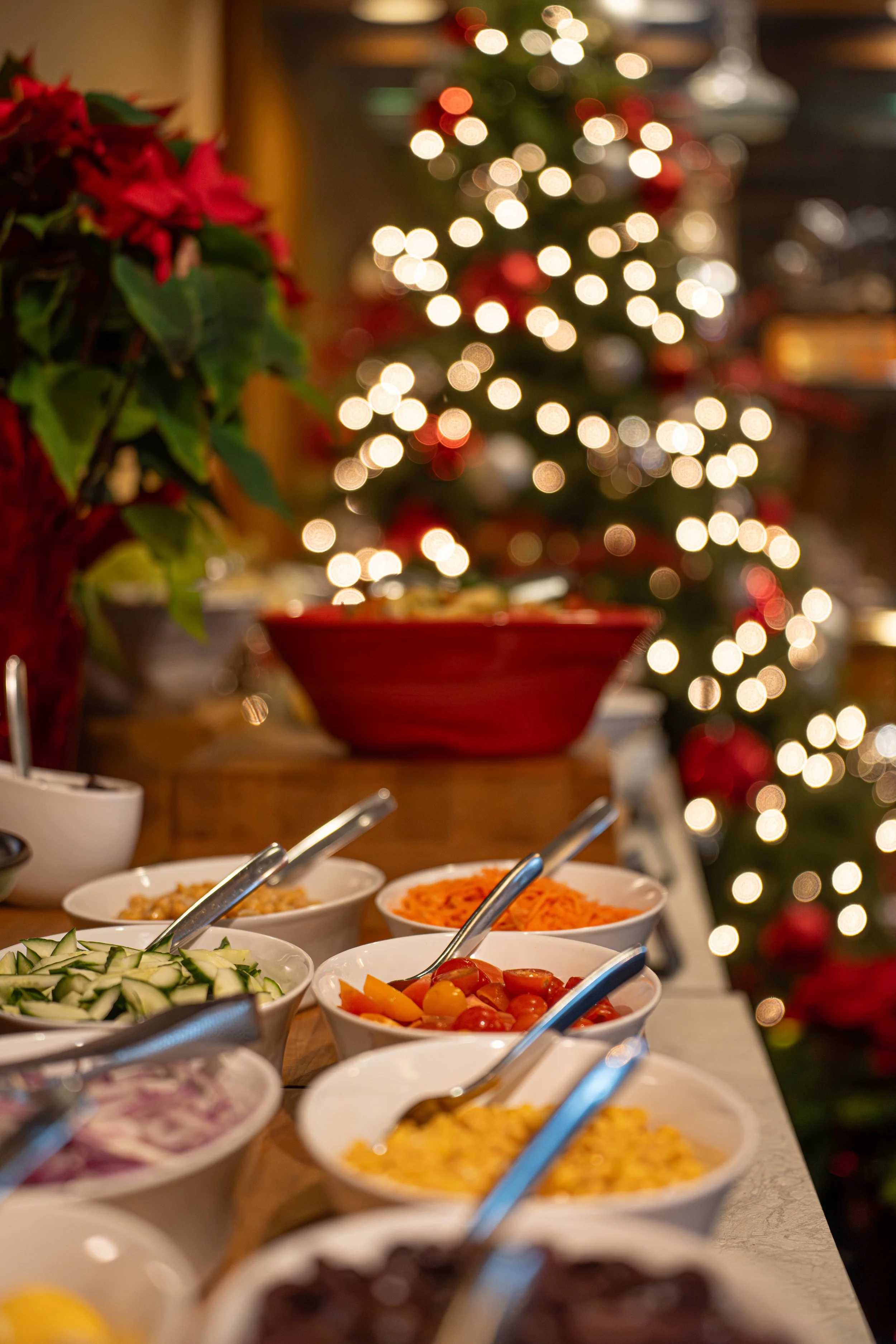 Vancouver-event-photography-Tourism-SkalChristmas-4.jpg