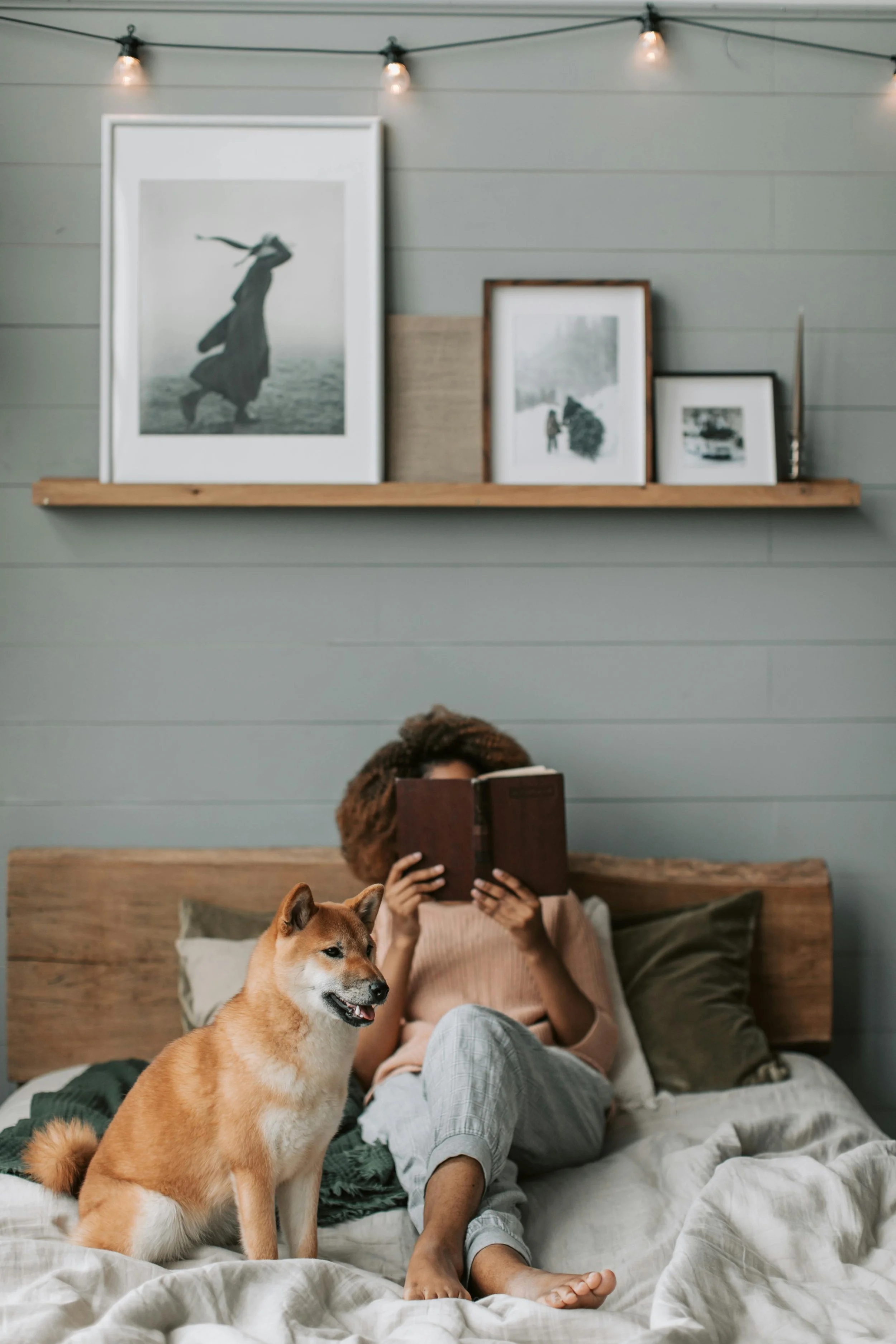 What is an Alpha Reader, and Why You Need One.