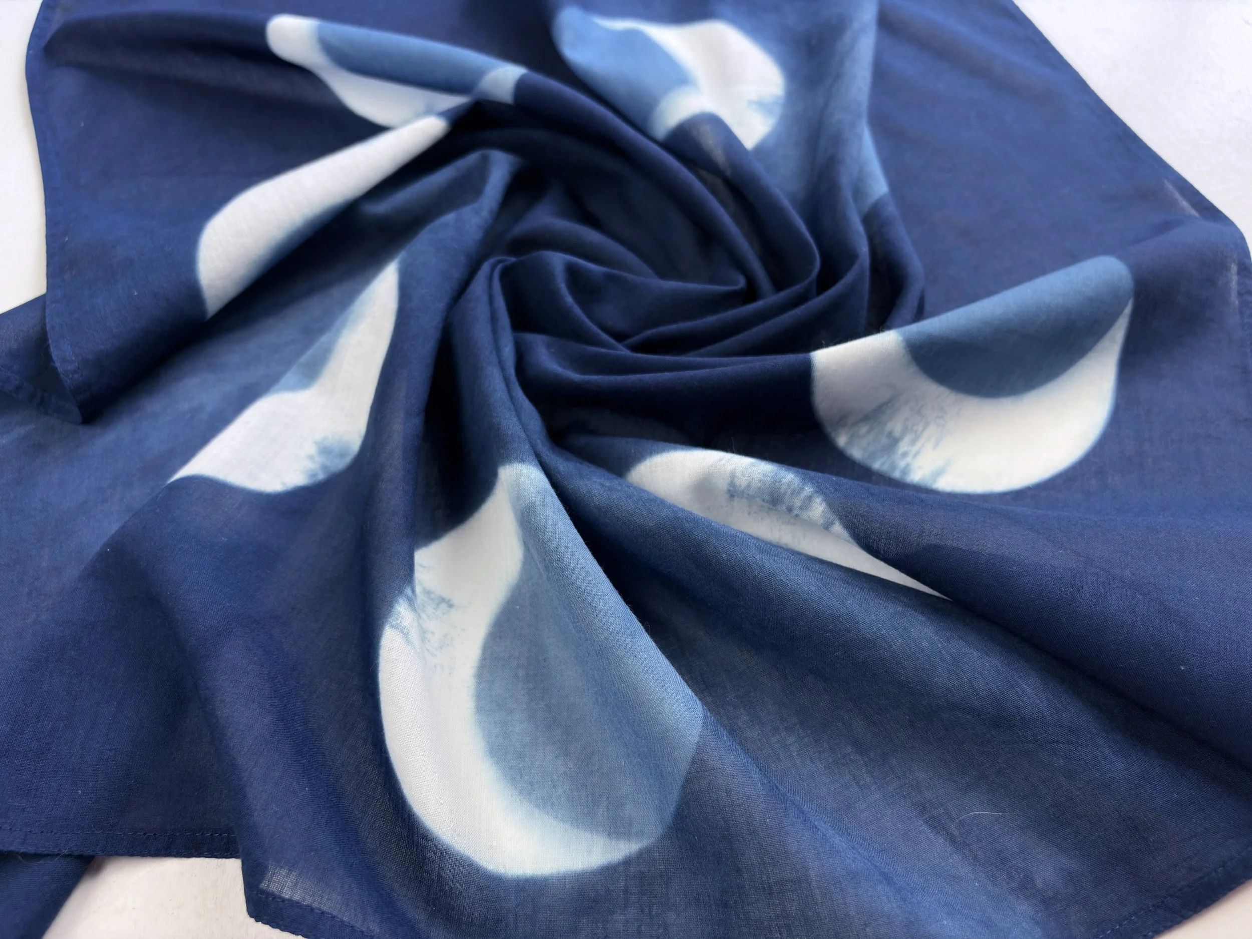 smudged crescents swirl detail rectangle.jpg