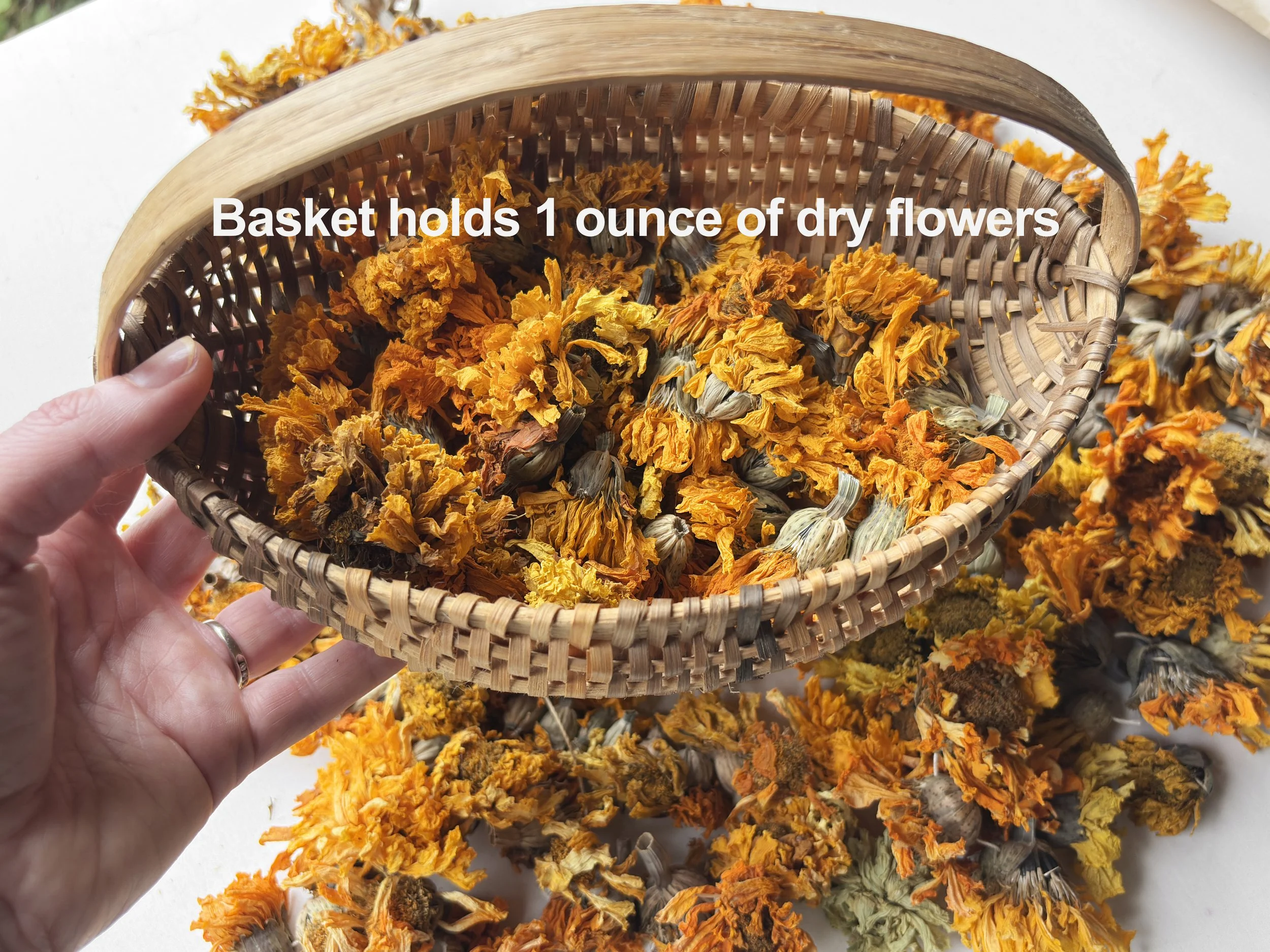 dry marigolds in basket rectangle.jpg