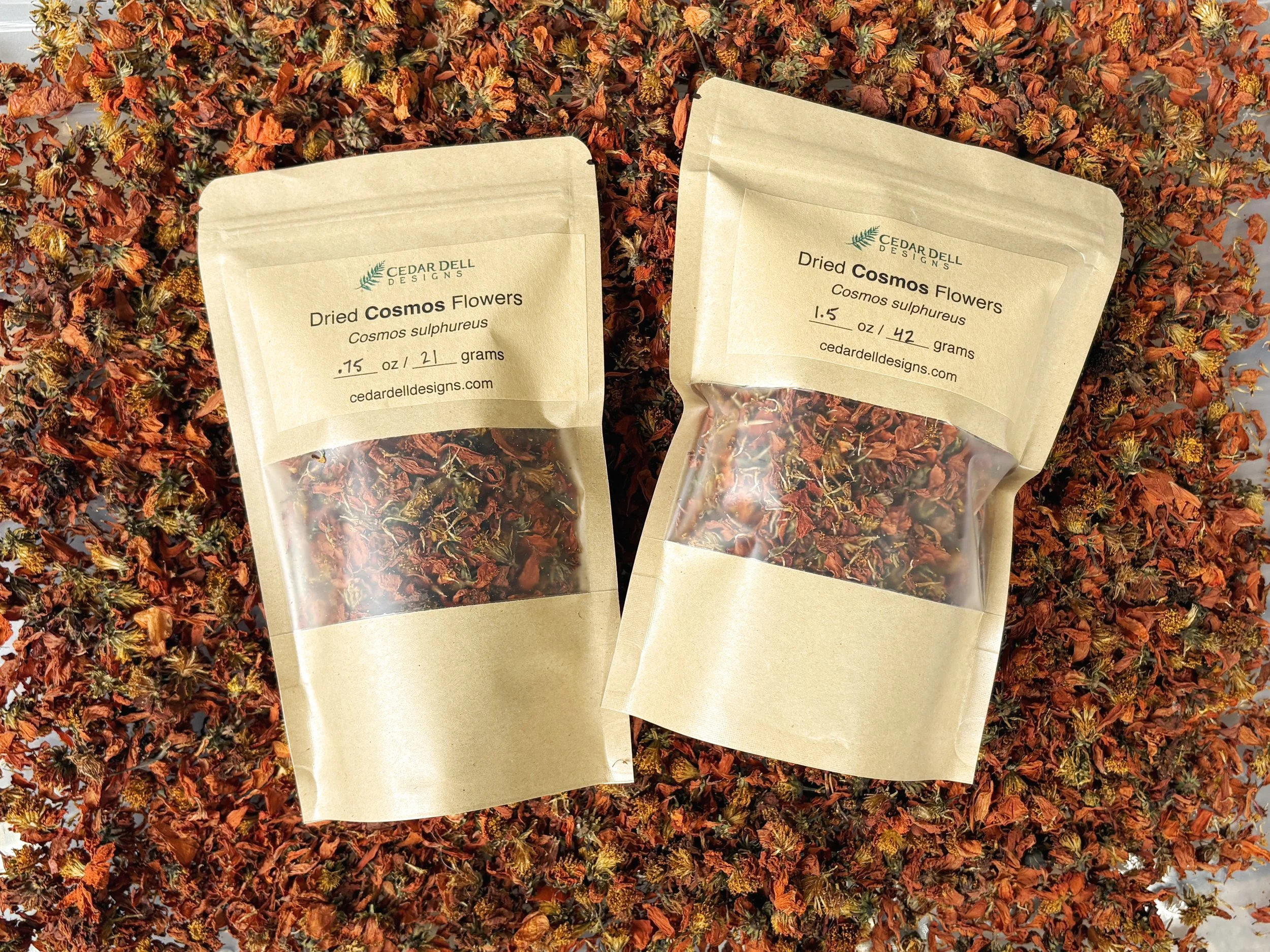 cosmos duo rectangle.jpg