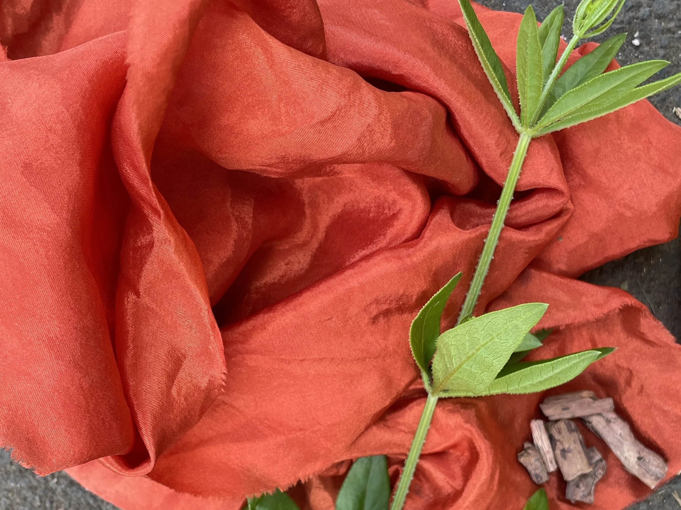 madder dyed silk.jpg