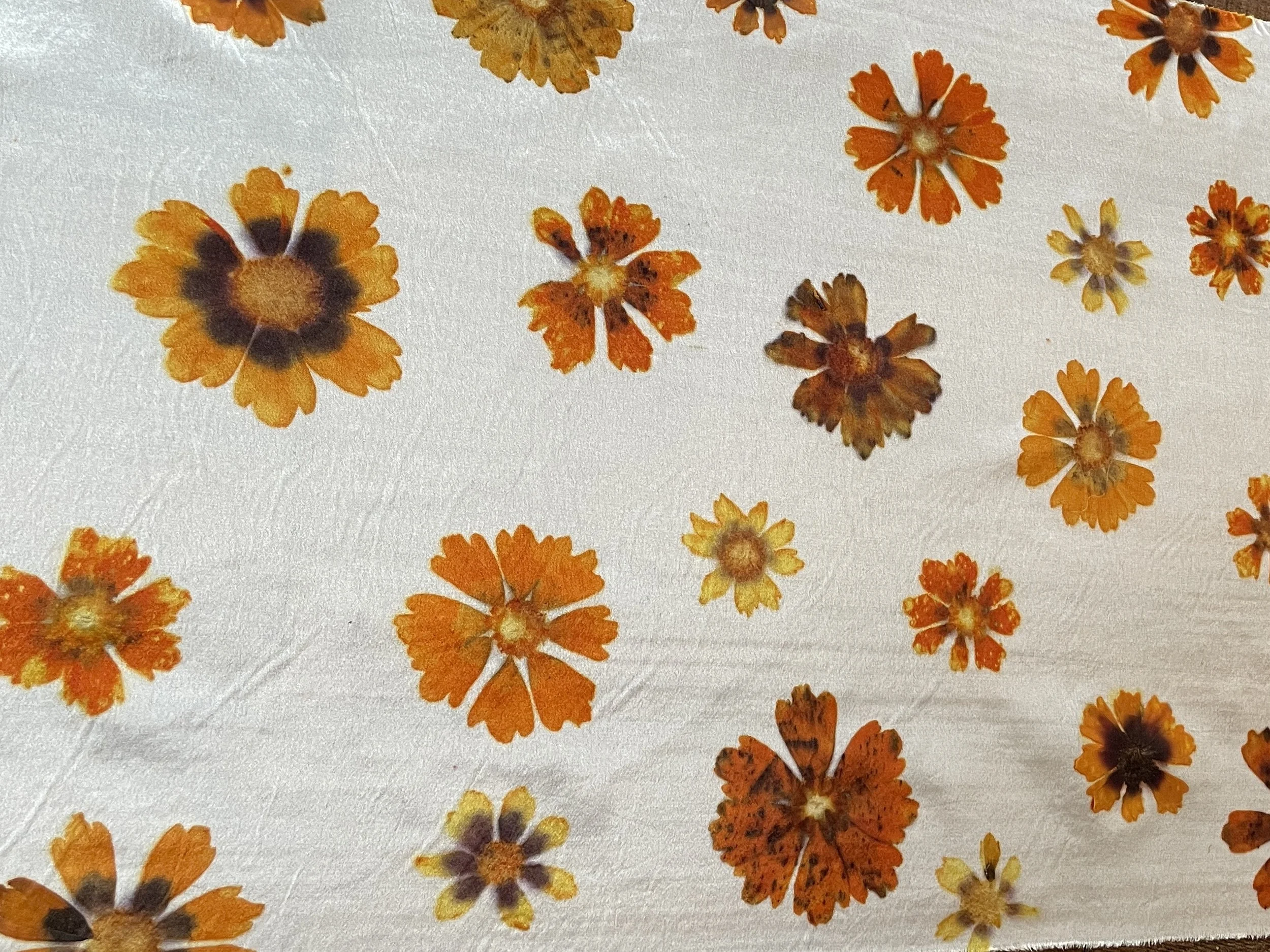 coreopsis prints silk rectangle.jpg