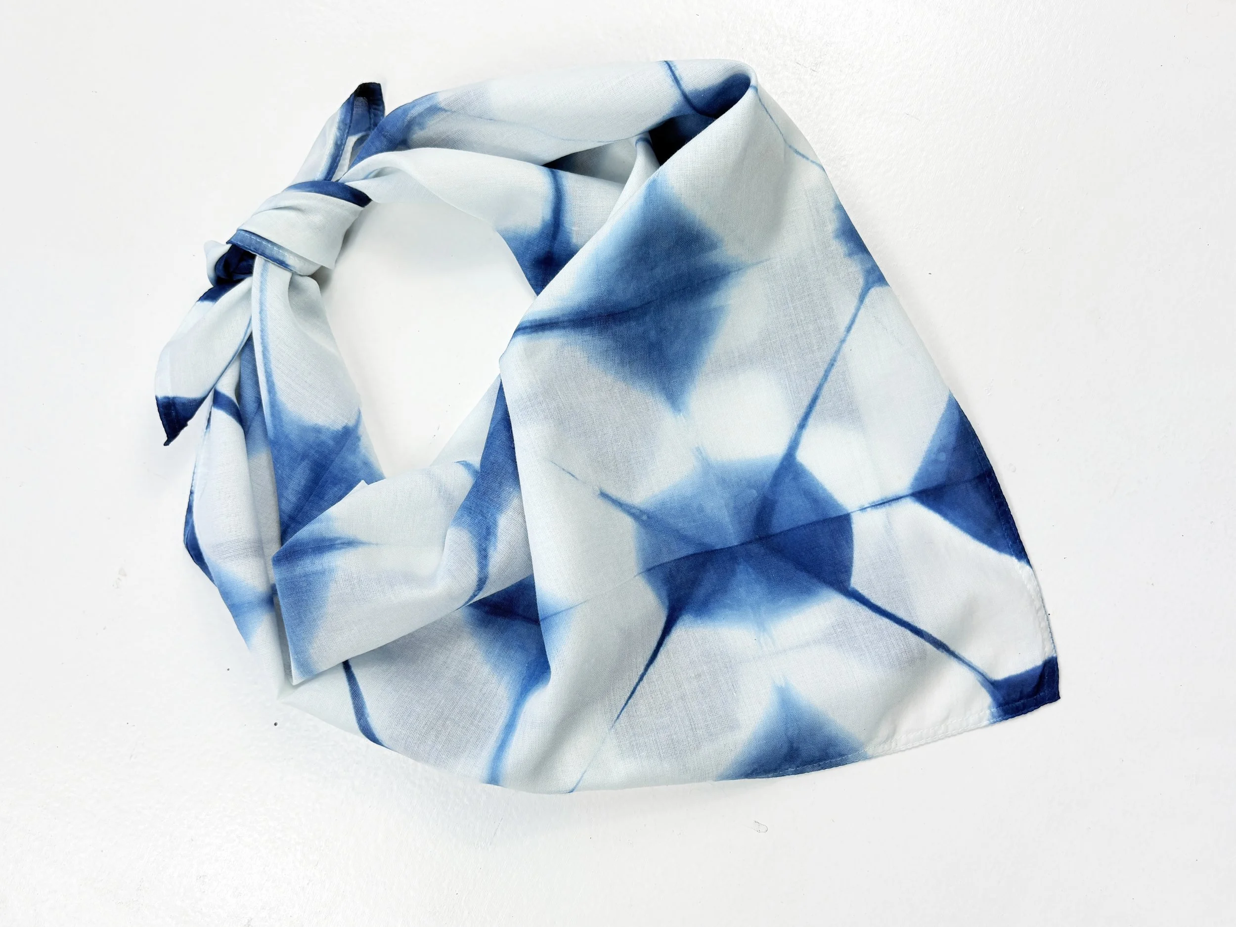 shibori tied rectangle.jpg