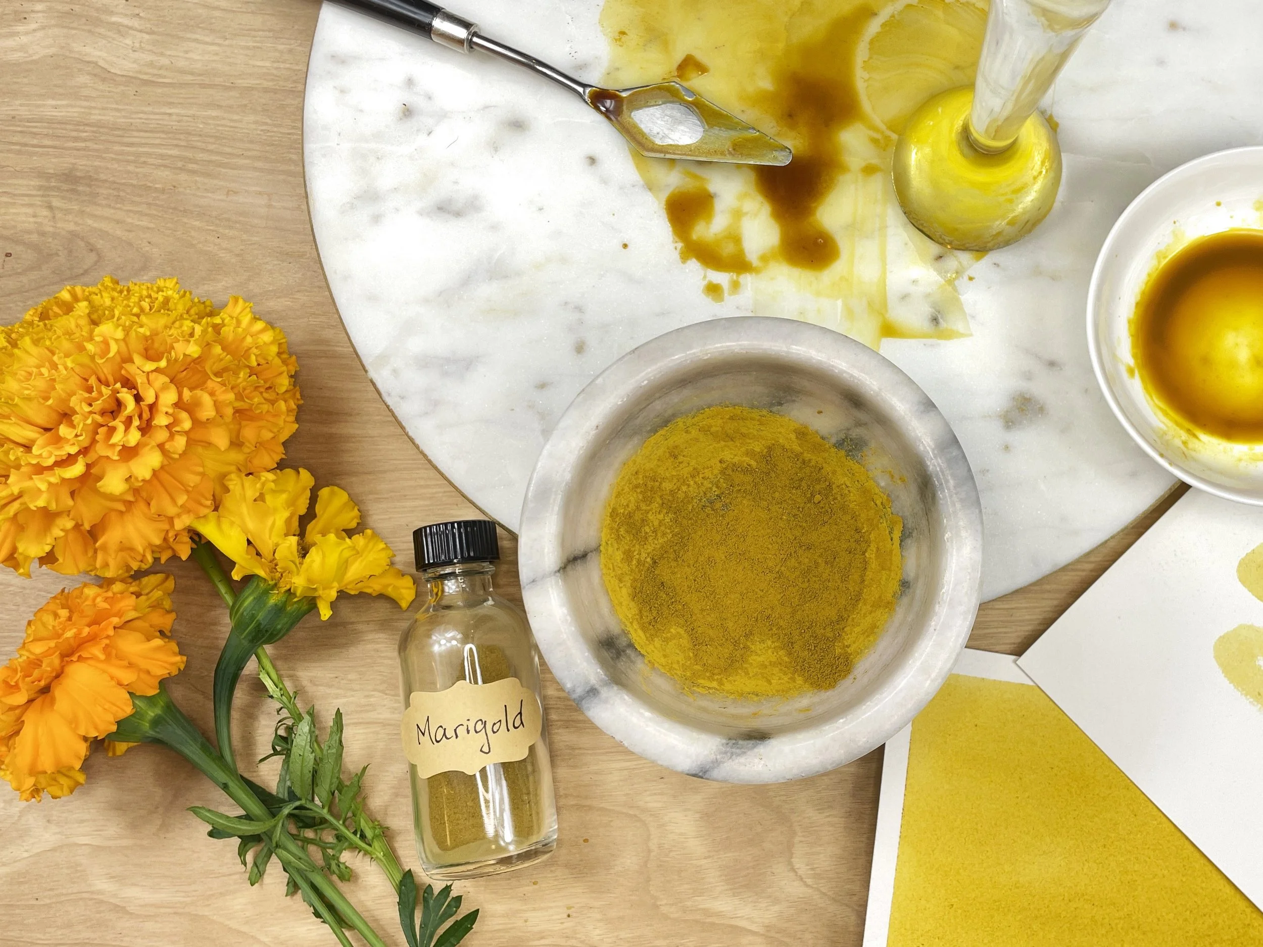 marigold pigment rectangle.jpg