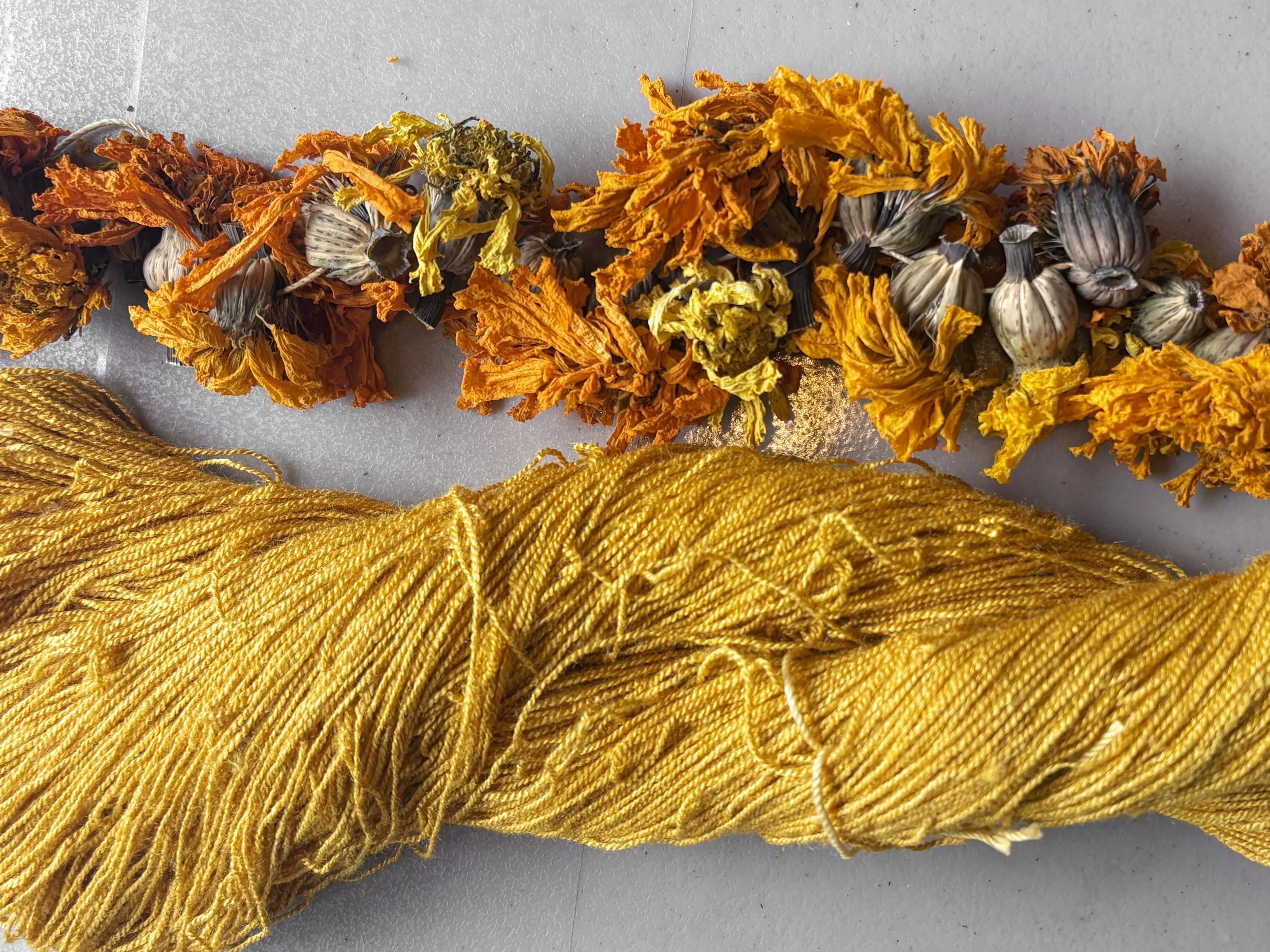 marigold yarn rectangle.jpg