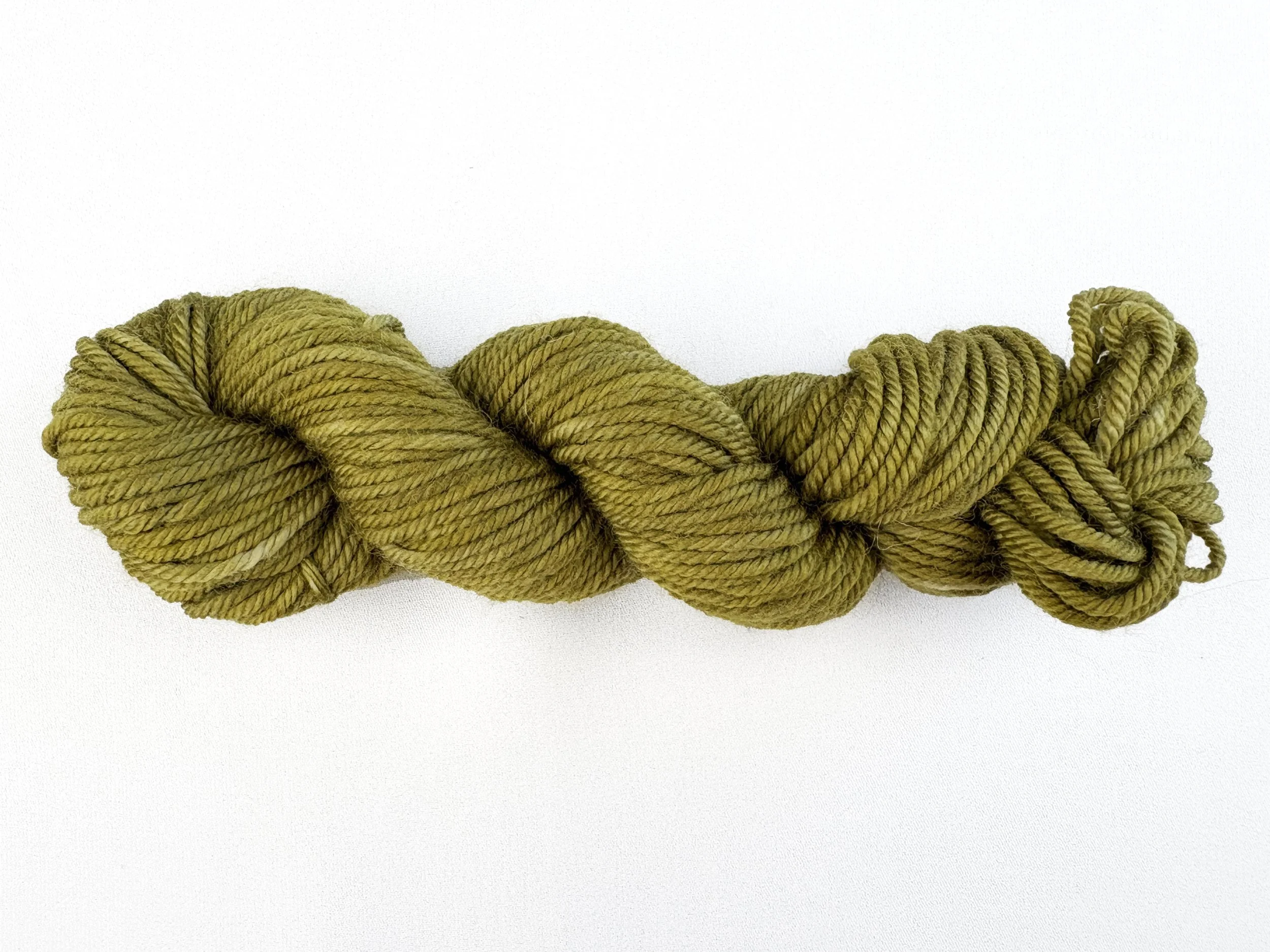 olive long rectangle.jpg