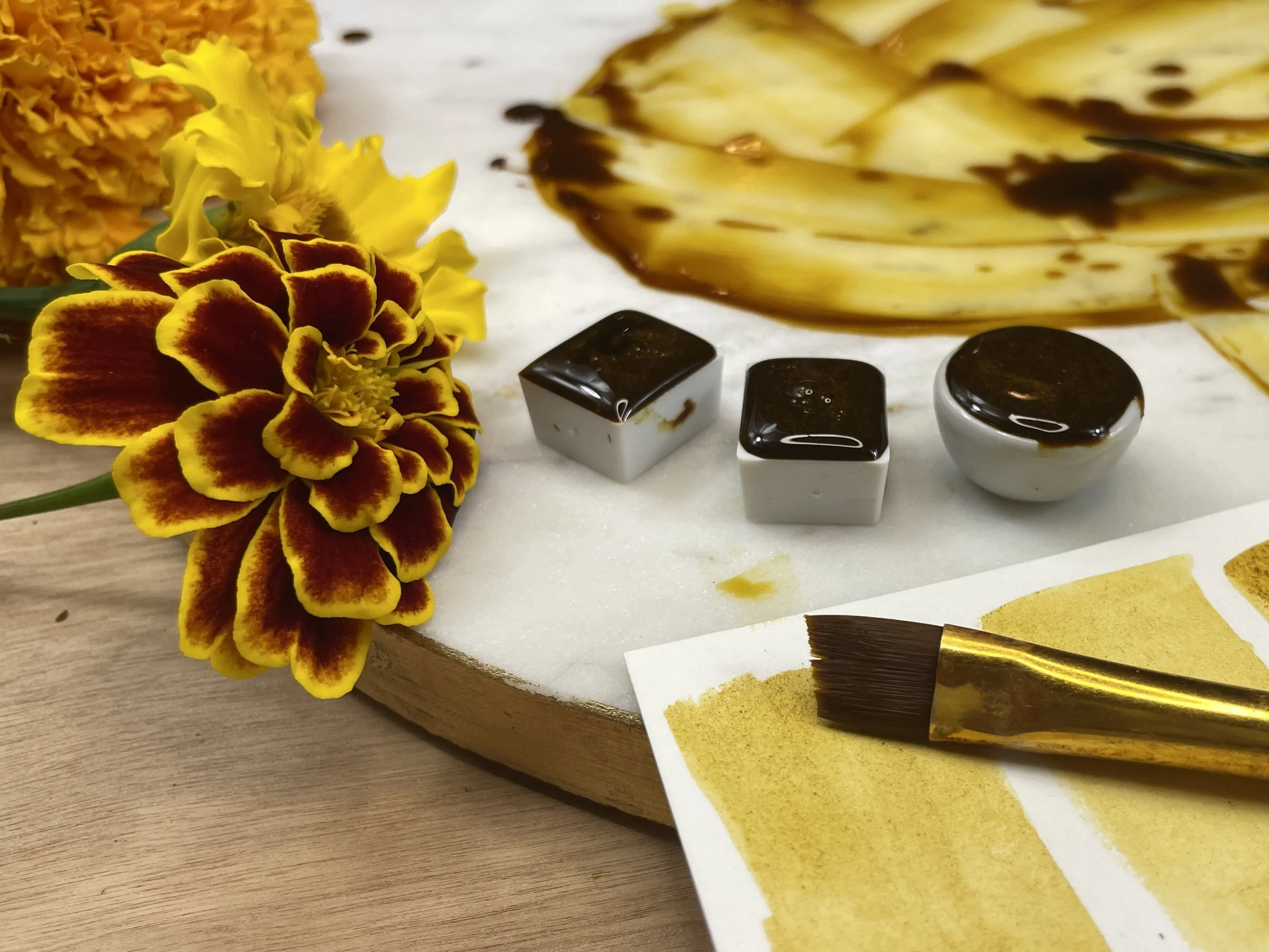 marigold paint rectangle.jpg