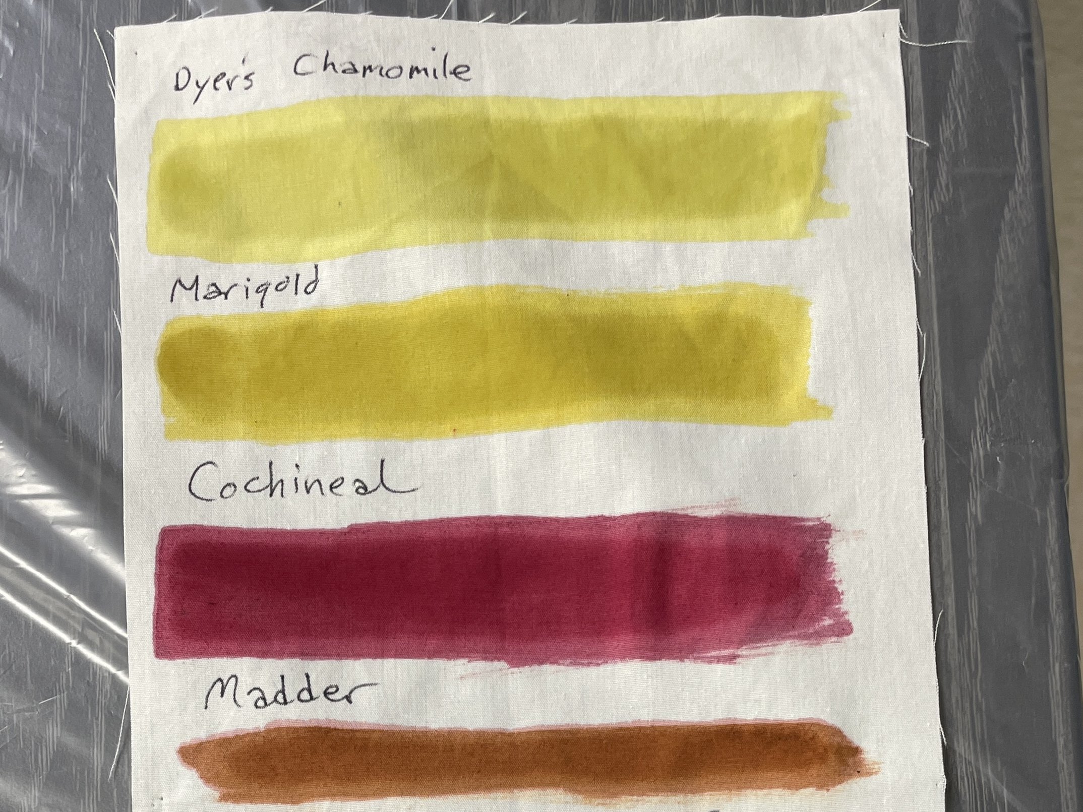 chamomile paint rectangle.jpg