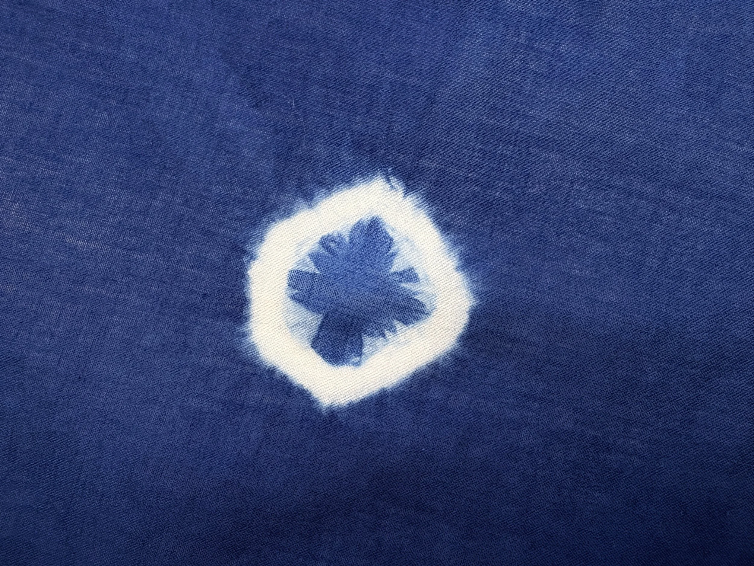indigo dots detail rectangle.jpg