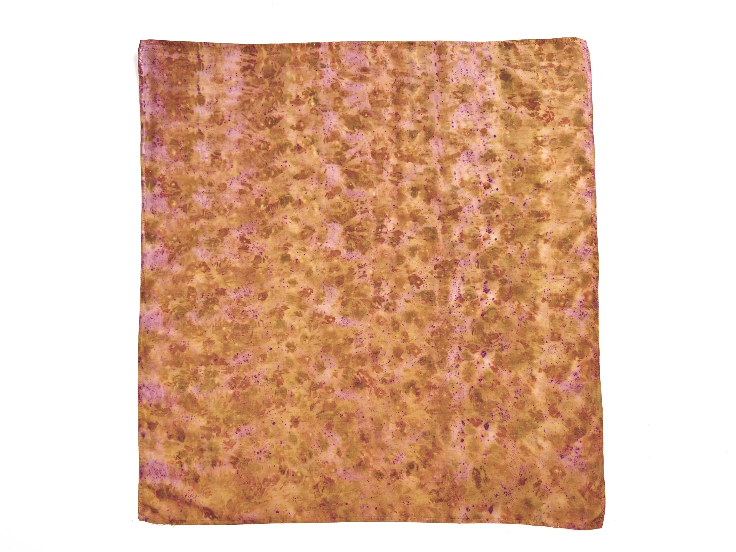 coreopsis bundle rectangle.jpg