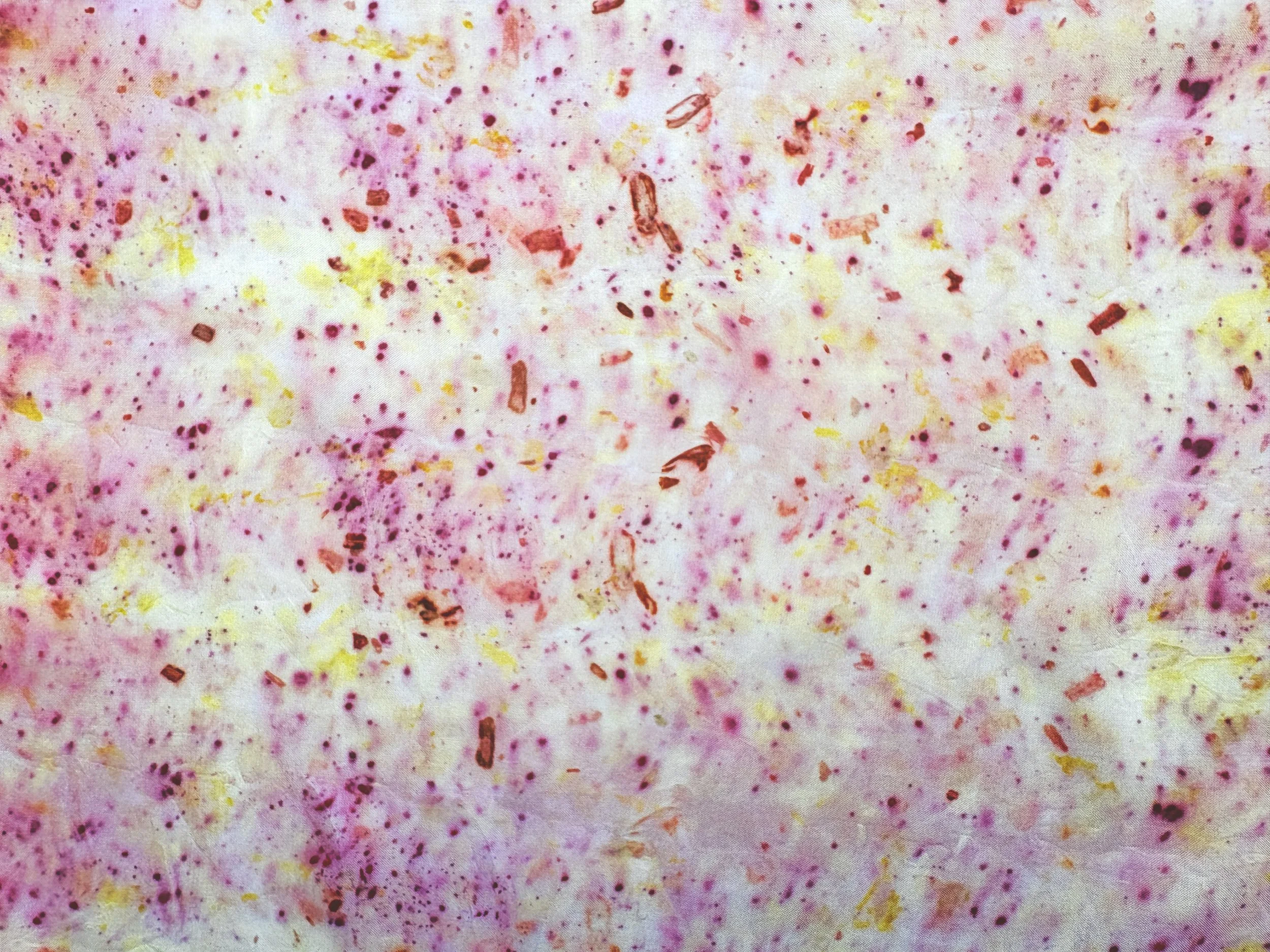 raspberry yellow detail2 rectangle.jpg