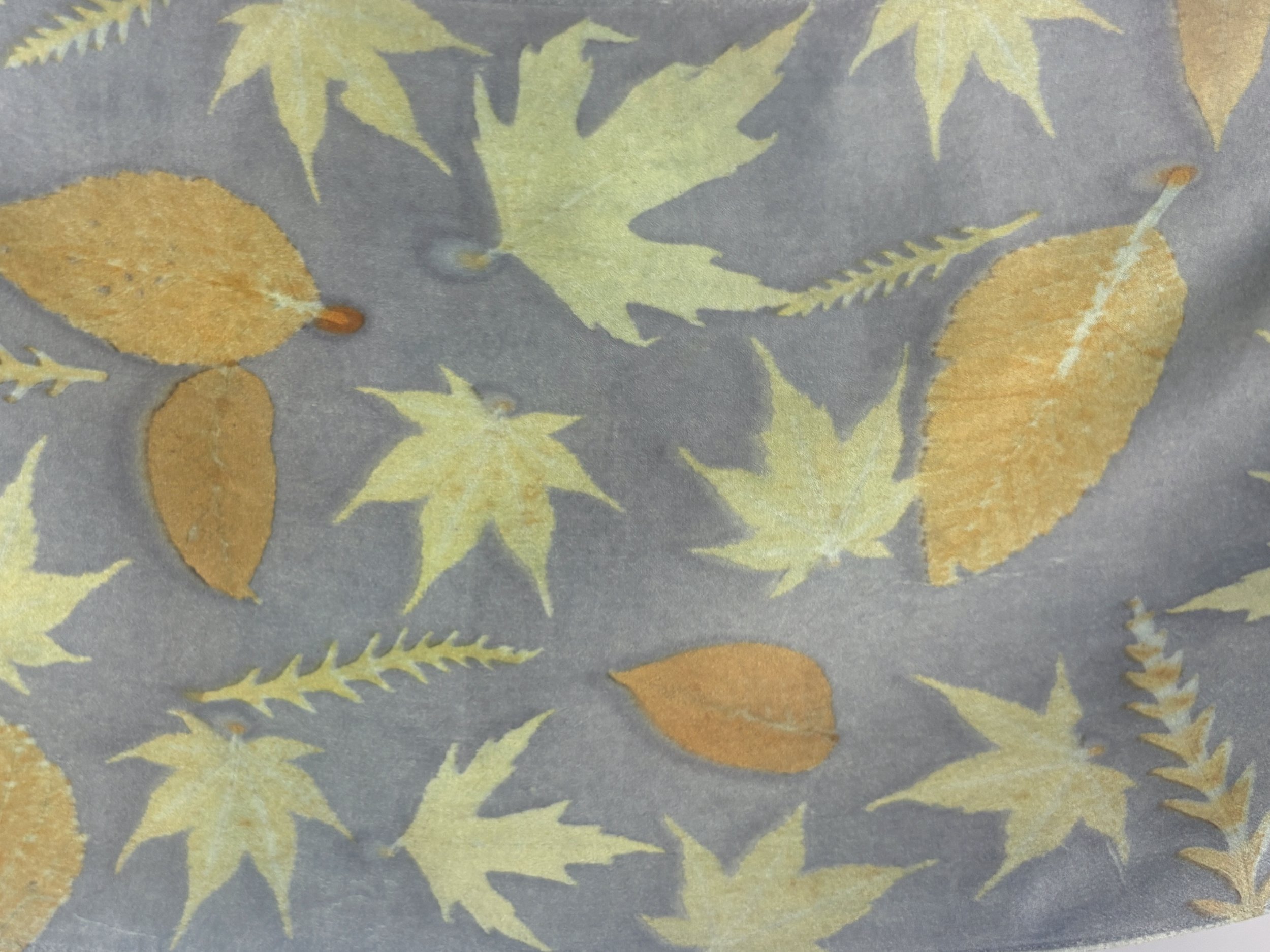 694 blue-green detail rectangle.jpg