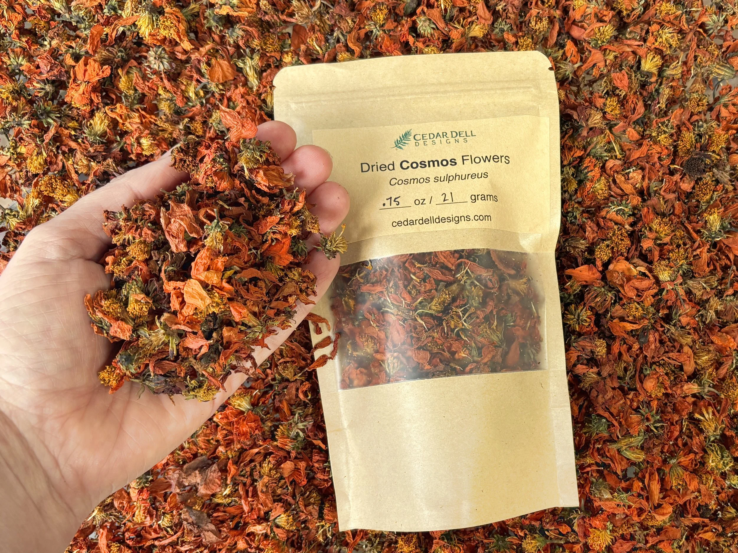 Dried Cosmos Flowers for Natural Dyeing