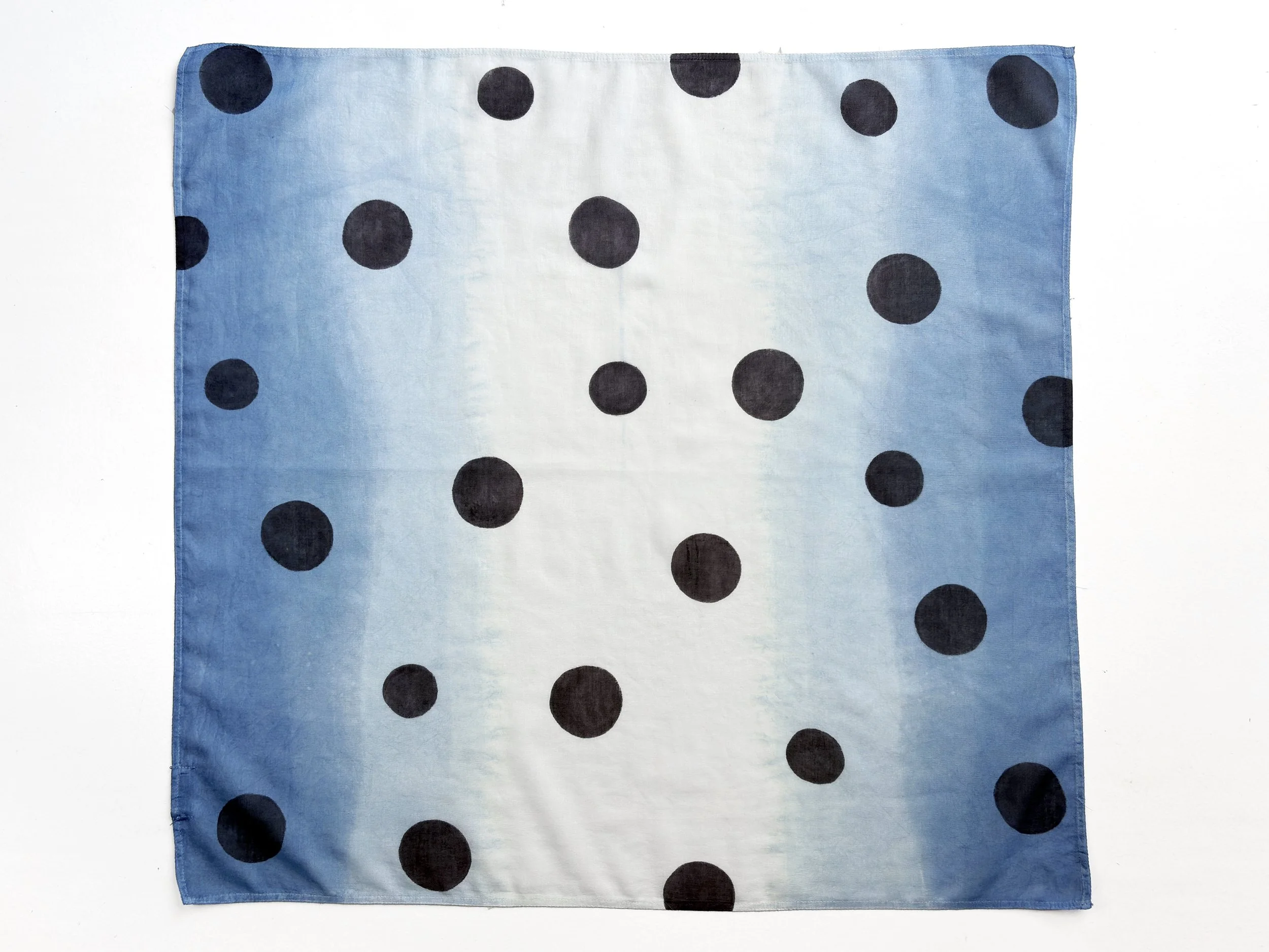 indigo black polkas rectangle.jpg