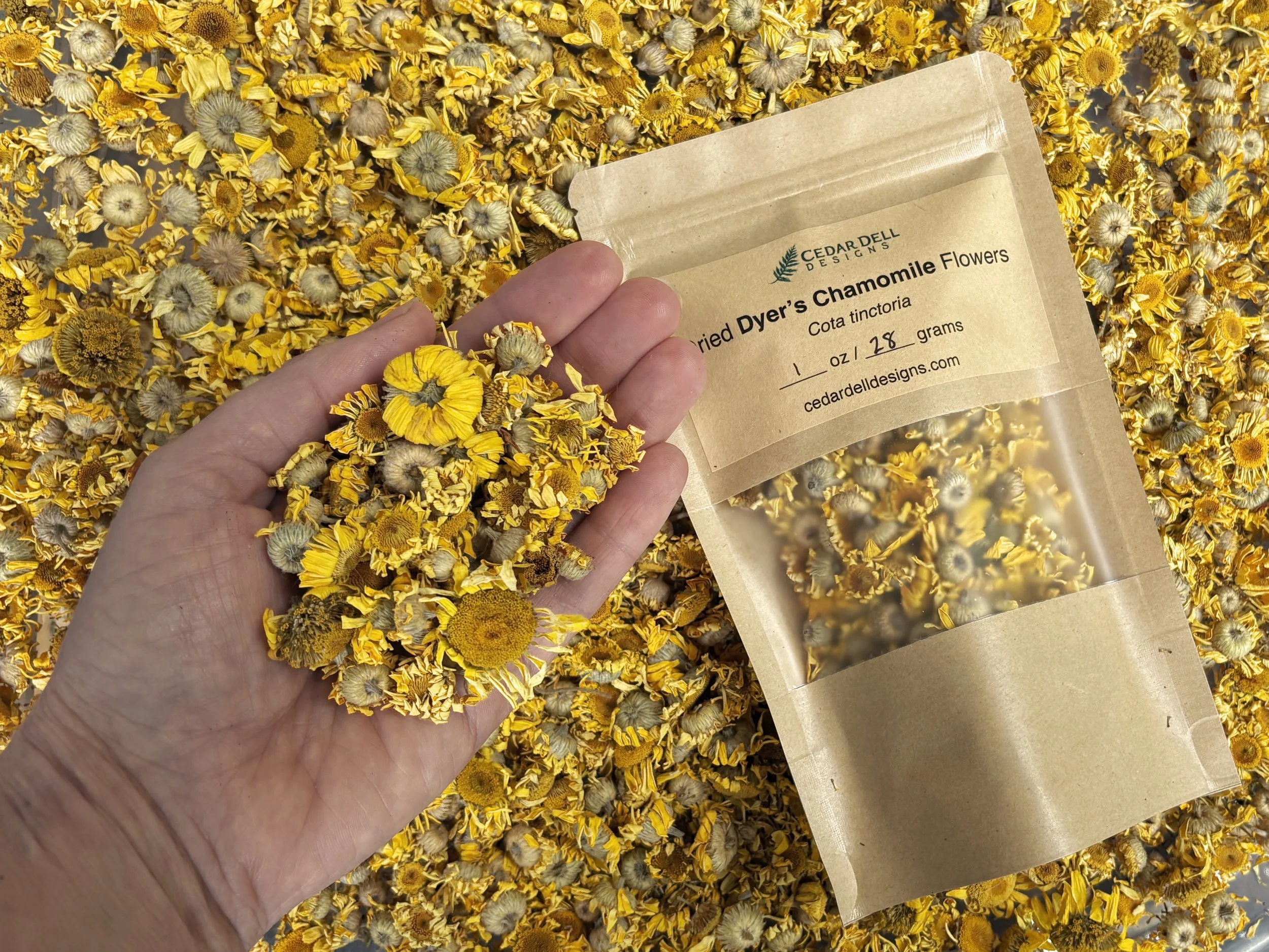 Dried Dyer's Chamomile Flowers for Natural Dyeing