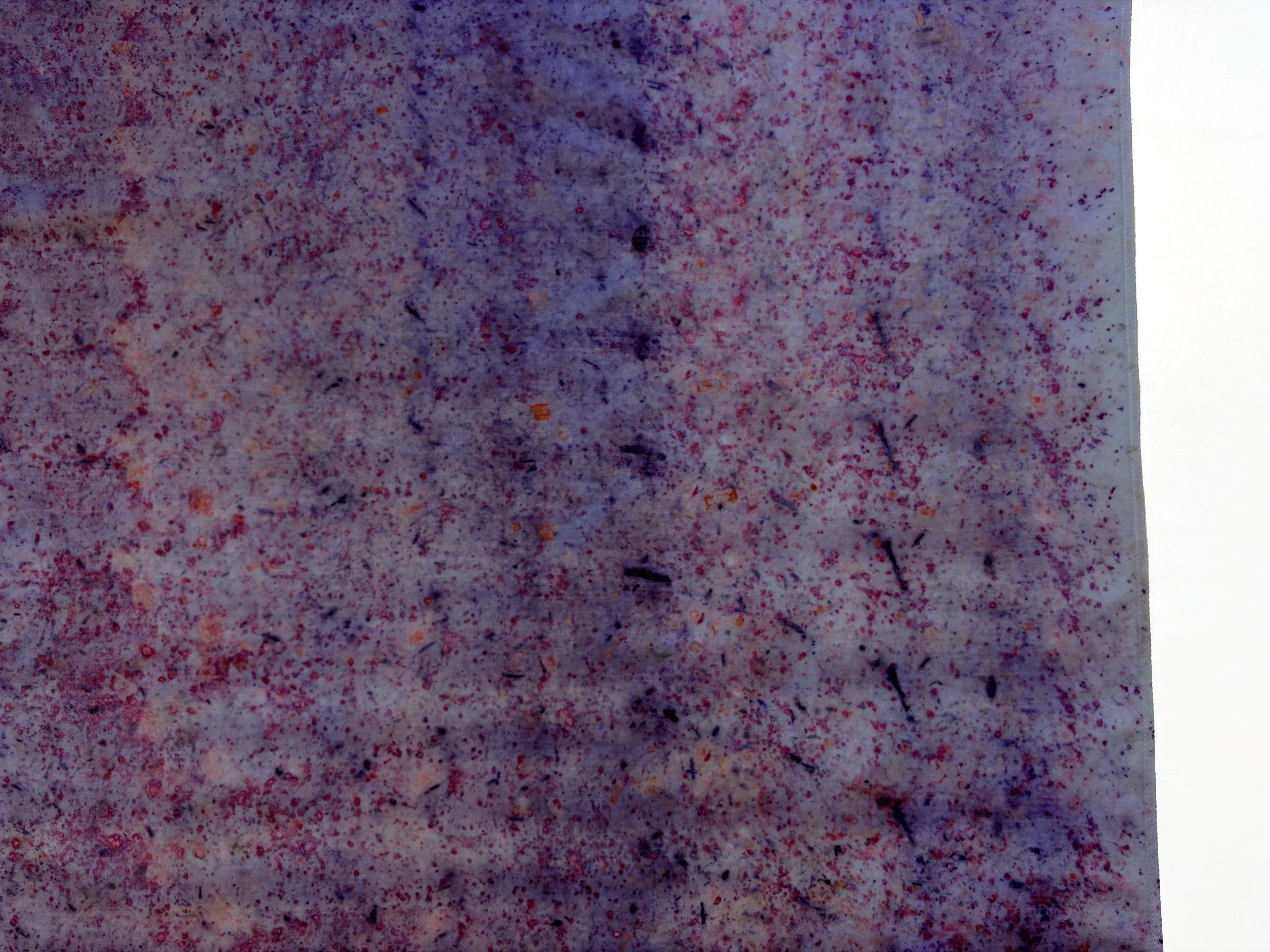 purple speckles flat detail rectangle.jpg