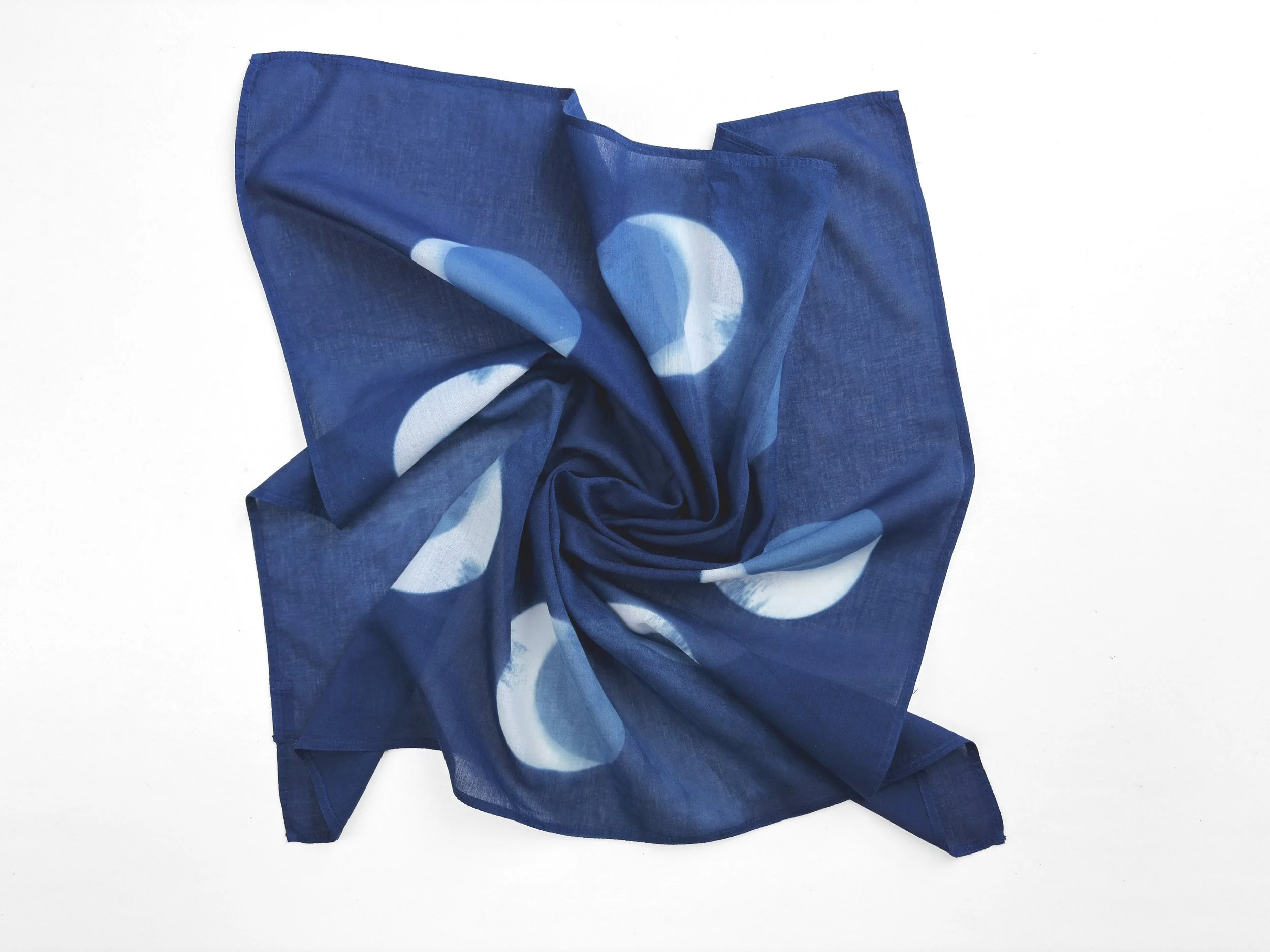 smudged crescents swirl rectangle.jpg