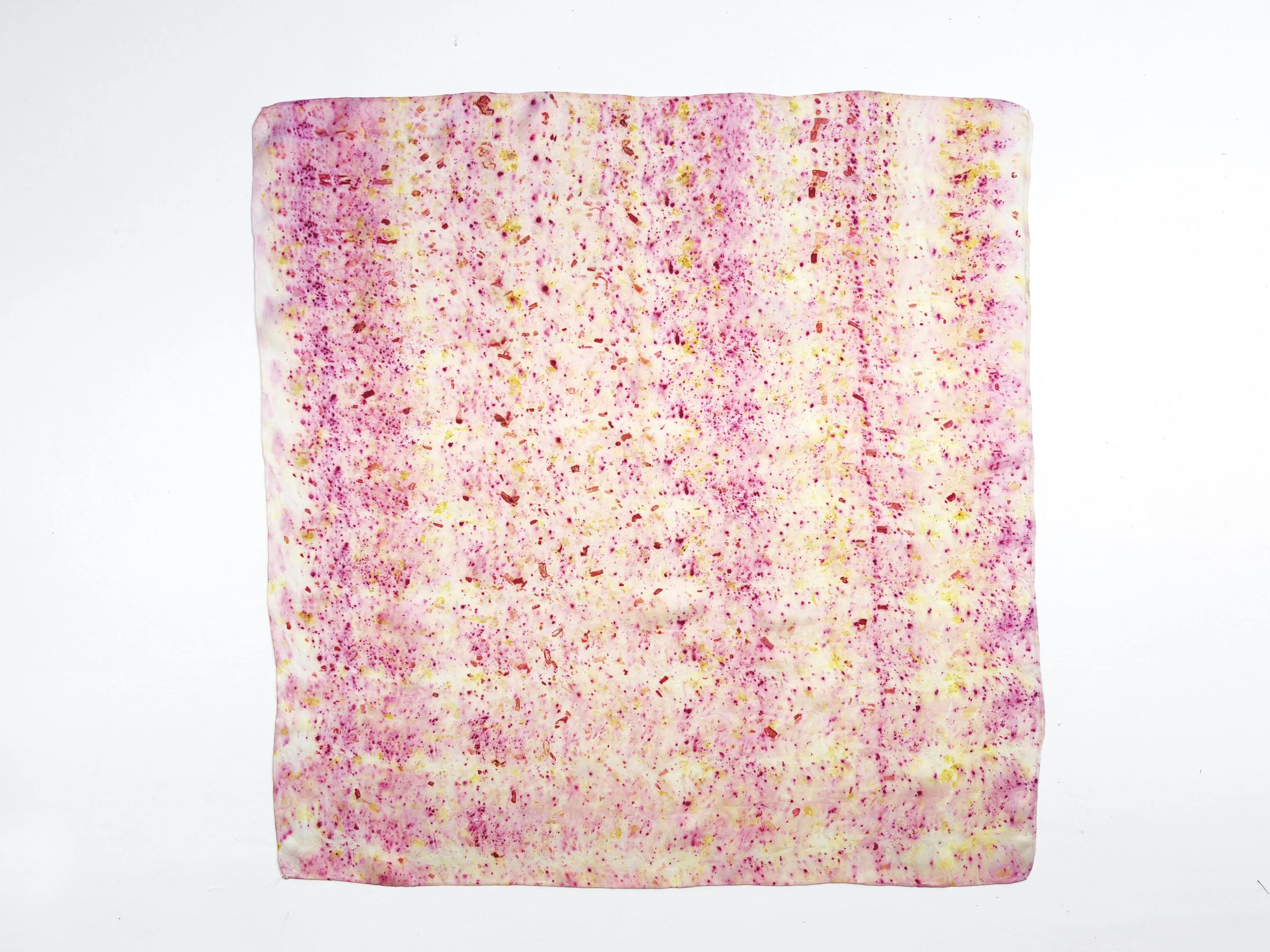 raspberry yellow rectangle.jpg