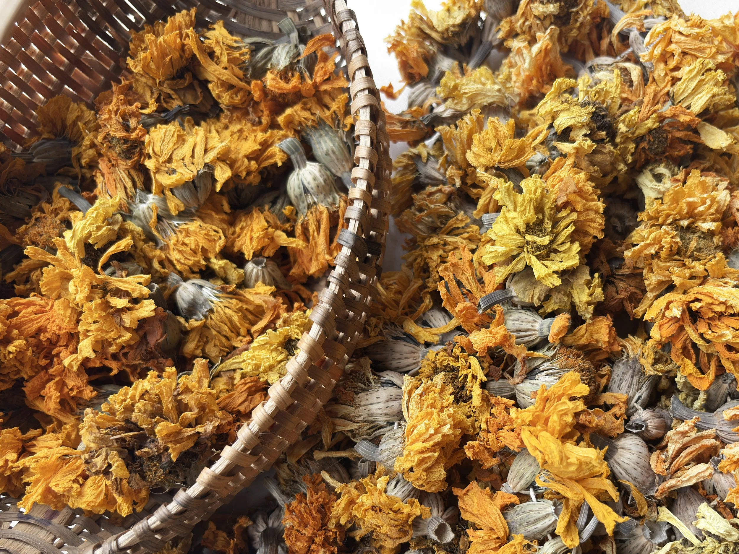 dry marigolds in basket2 rectangle.jpg