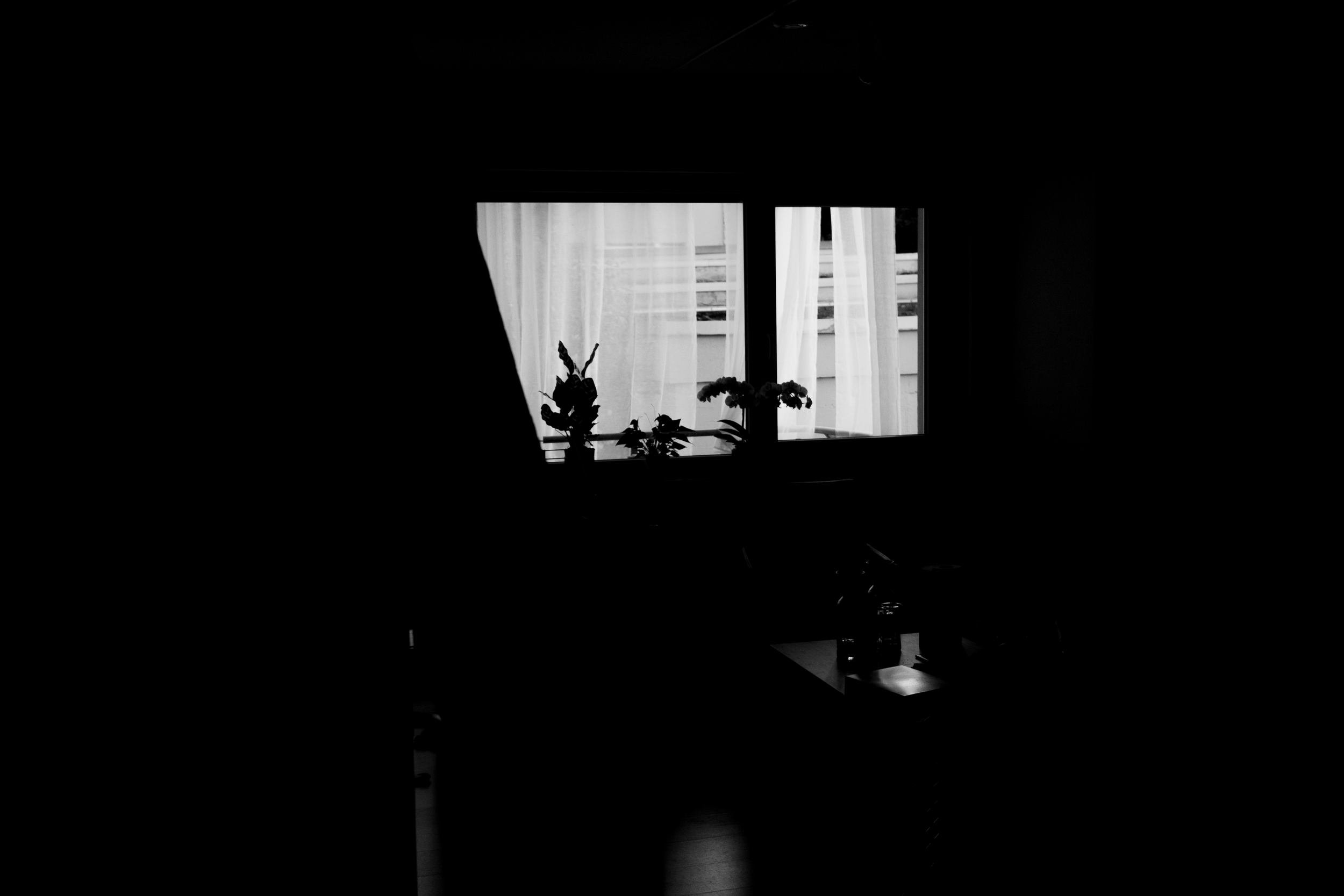 IMG_7950.png