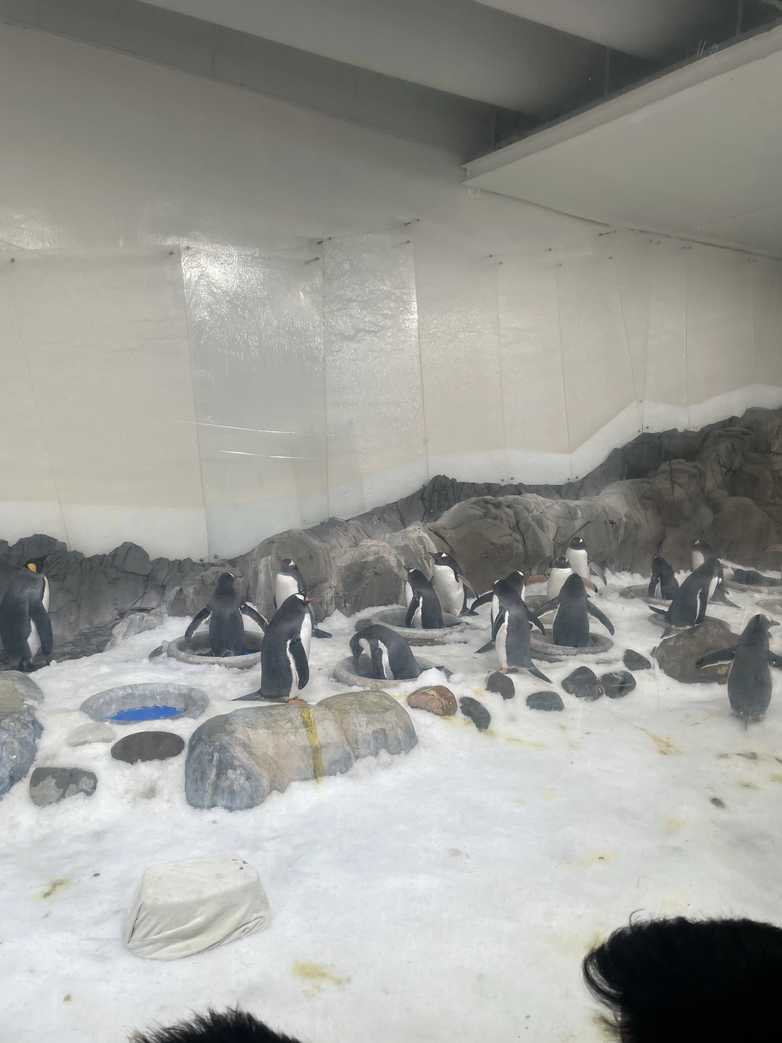 image-20250815-031555-0e8627f3 (1).jpeg