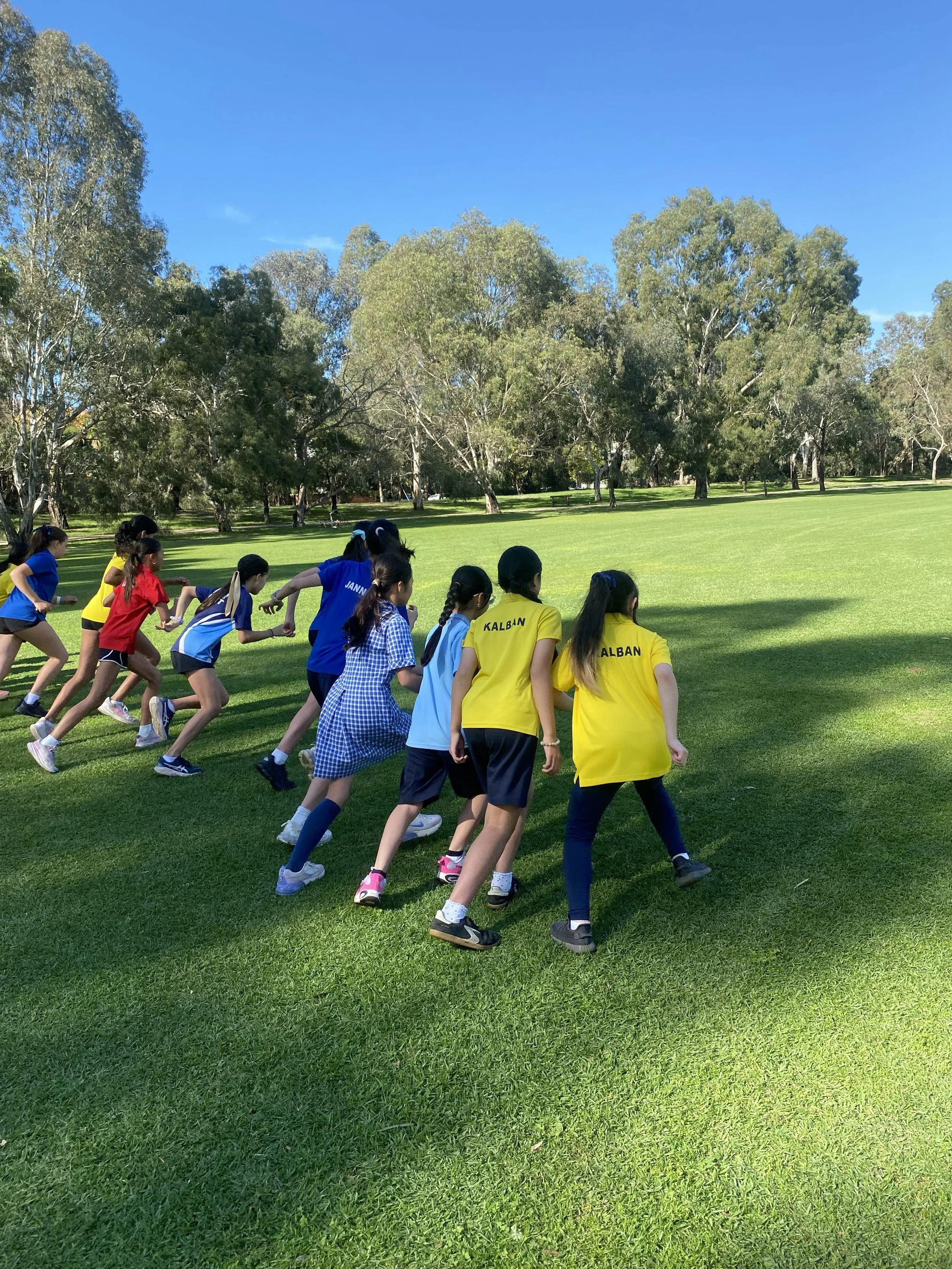 House Cross Country