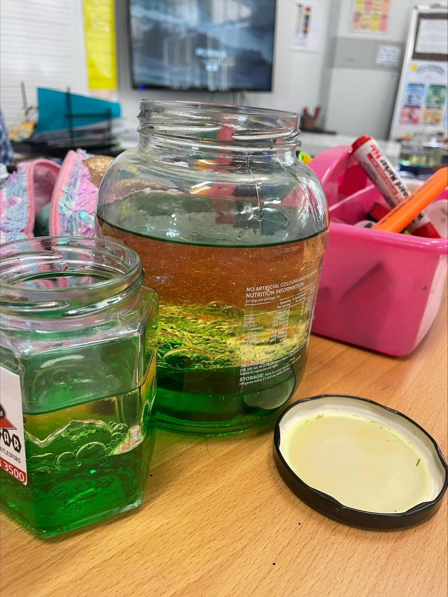 Year 4 - Science Incursion