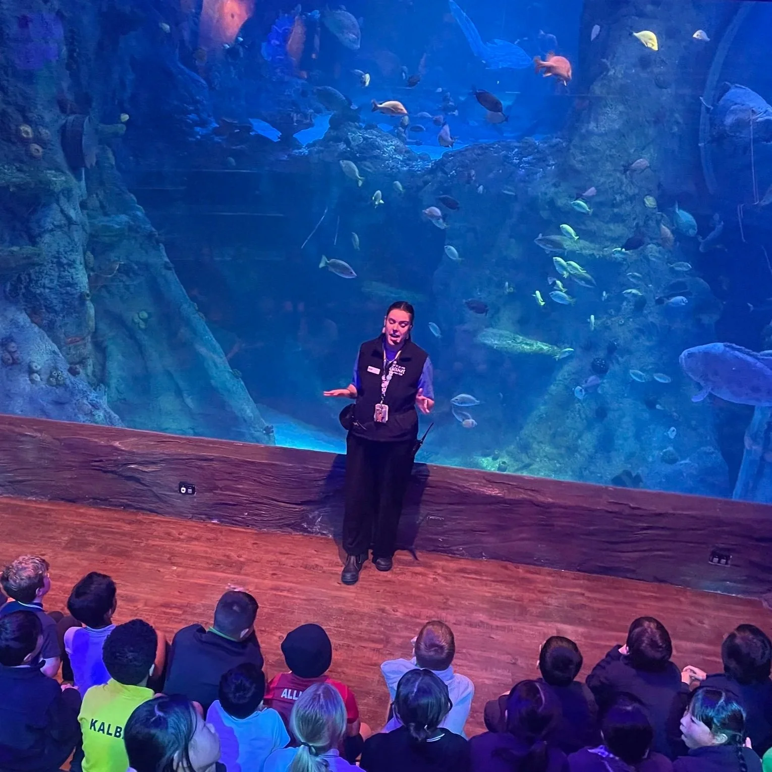 Melbourne Aquarium - Year 4 Excursion