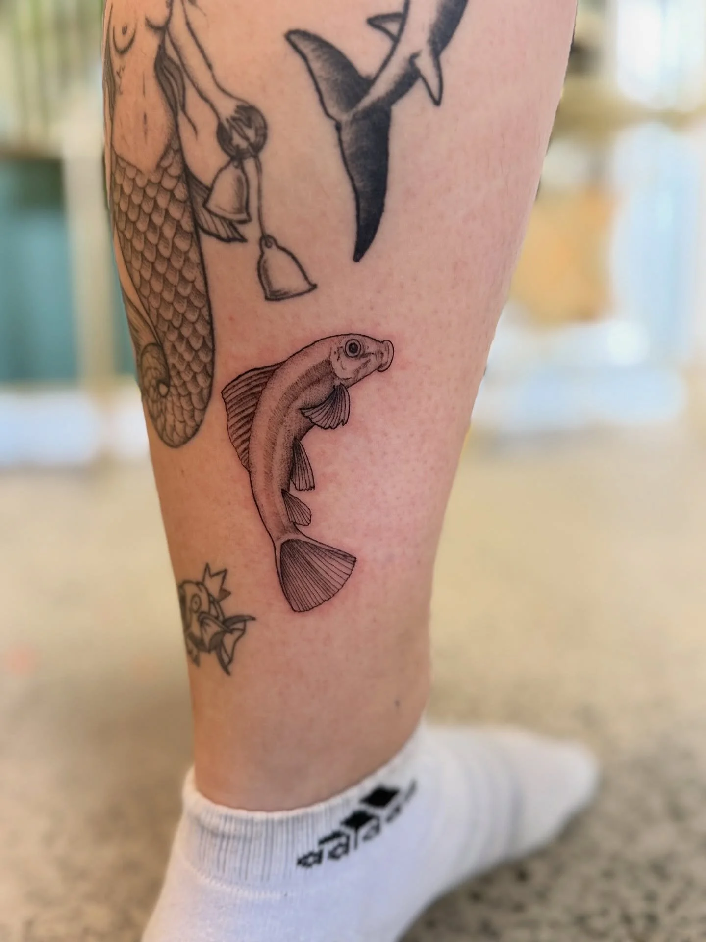 Small tattoo, love doing detailed pieces like this. 
*
*
*
#tattoo #tattooartist #manchester #manchestertattooartist #manchestertattoo #uk #blackandgrey