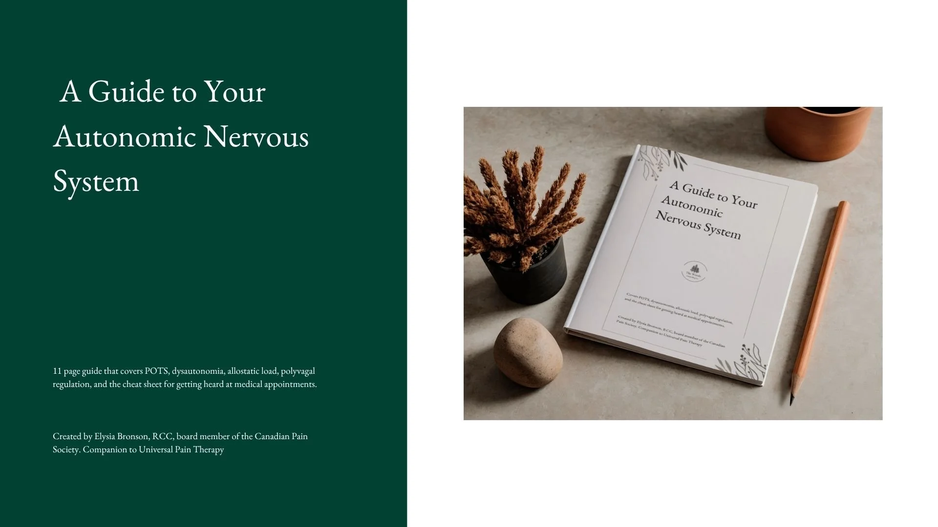 _A Guide to Your Autonomic Nervous System Cover.jpg