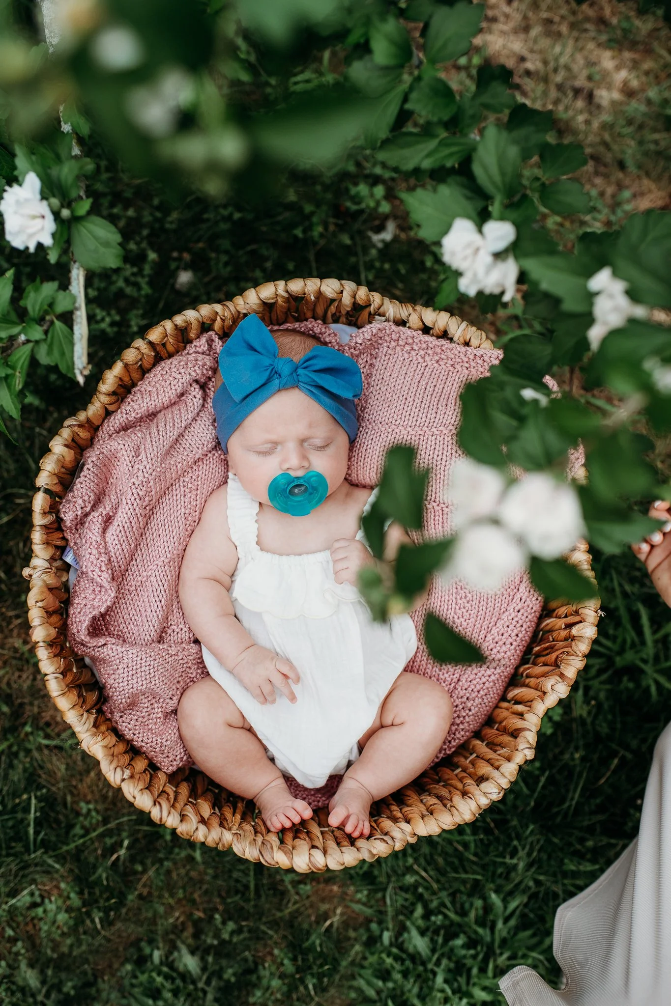 Melrose Newborn Photography-8.jpg