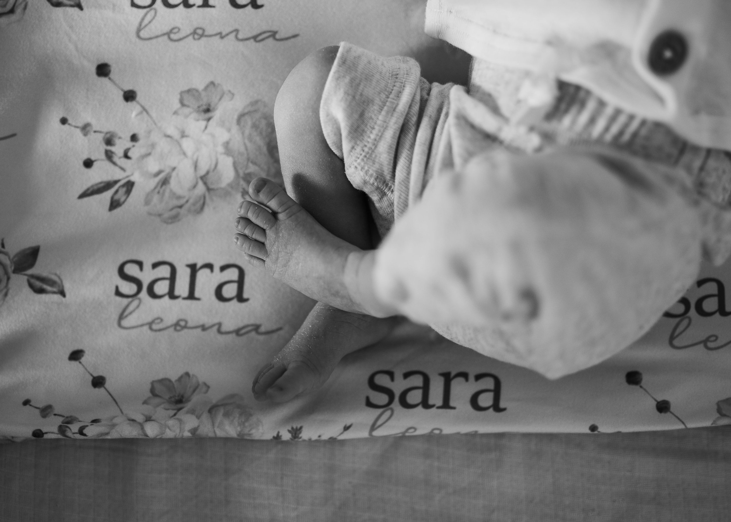 Reading-MA-Newborn-Photographer
