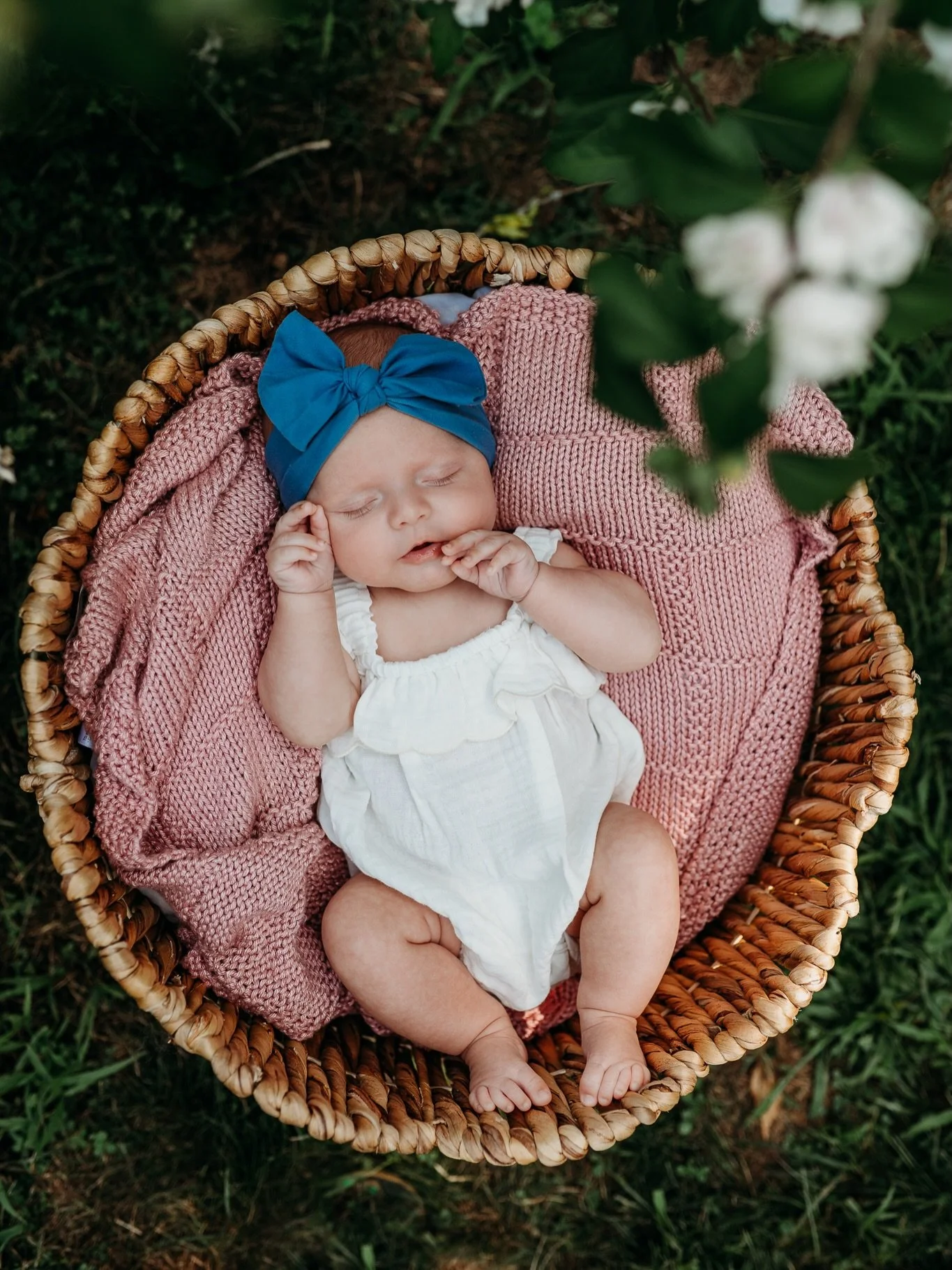Some of my favorite emails start by mentioning dogs&hellip; especially big dogs. Not that I don&rsquo;t adore every sweet baby I get to capture, but throw a few dogs in the mix- especially a Great Dane- and I&rsquo;m just on cloud nine. 

Do I need a