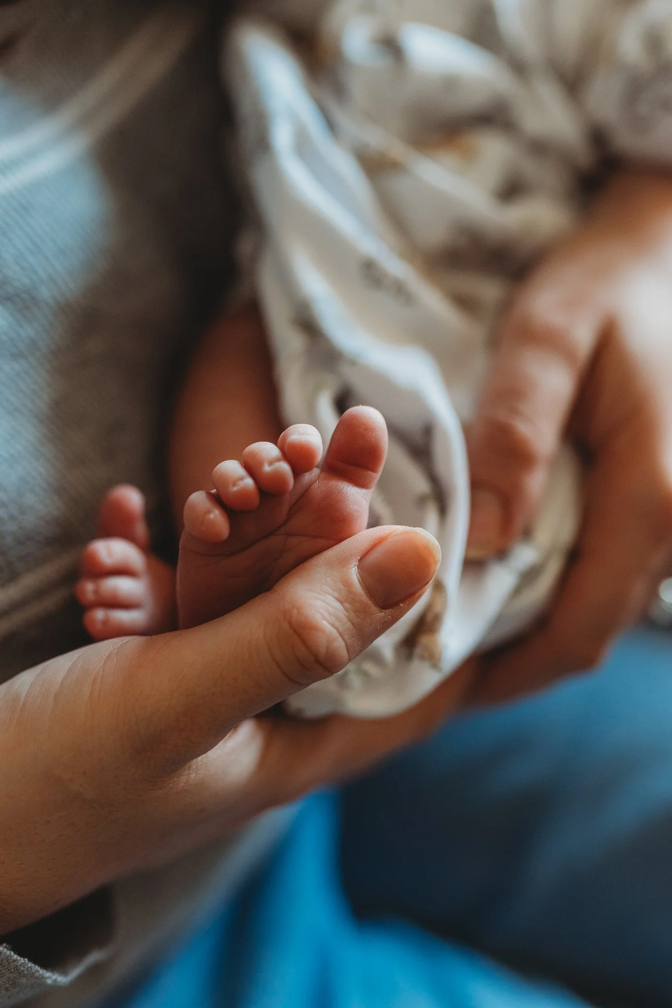 Melrose Newborn Photography- A Little Heart Photography-7.jpg