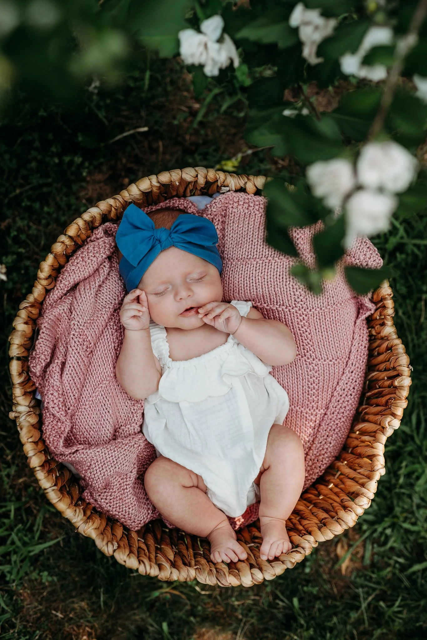 Melrose Newborn Photography.jpg