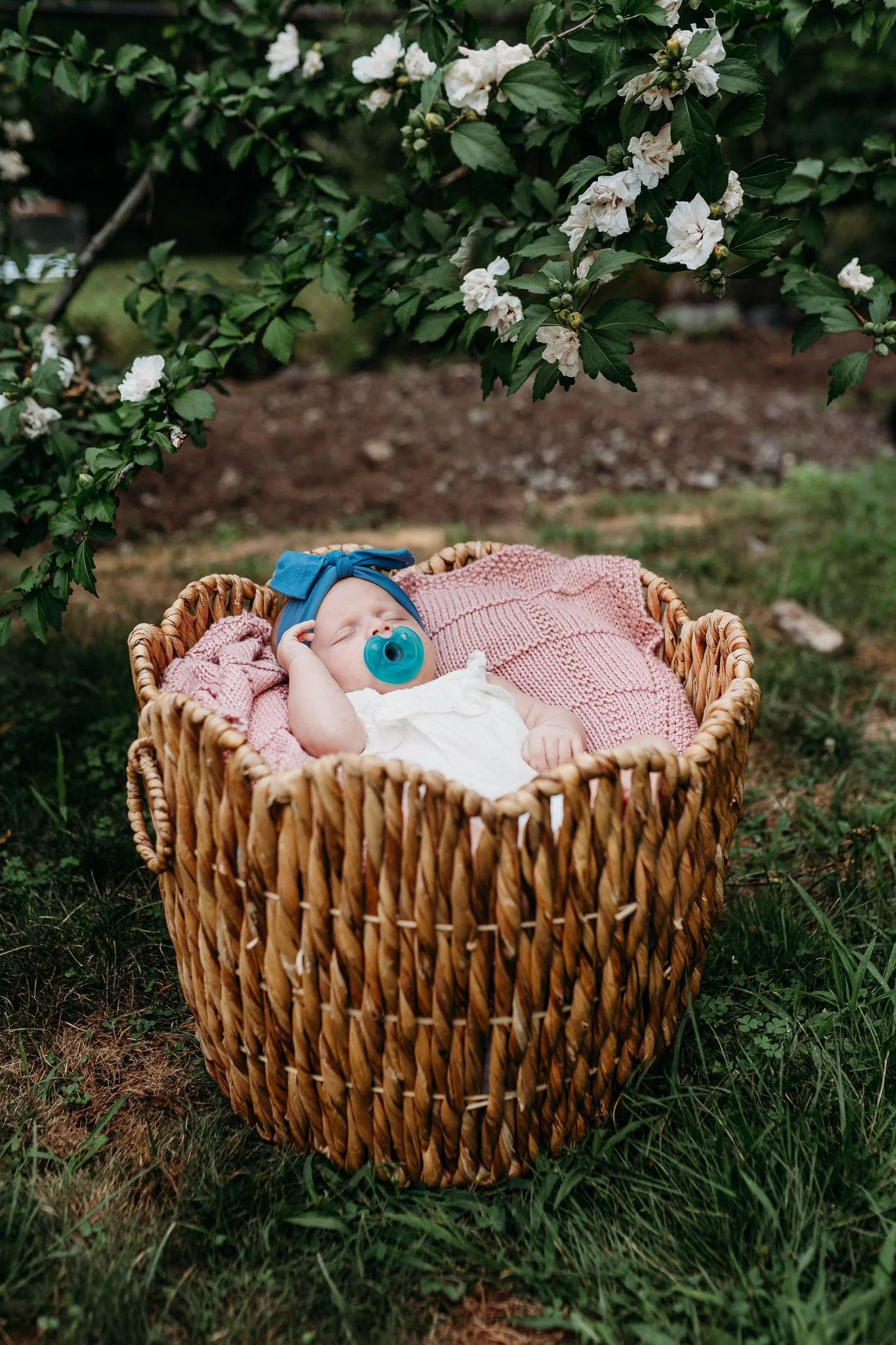 Melrose Newborn Photography-14.jpg