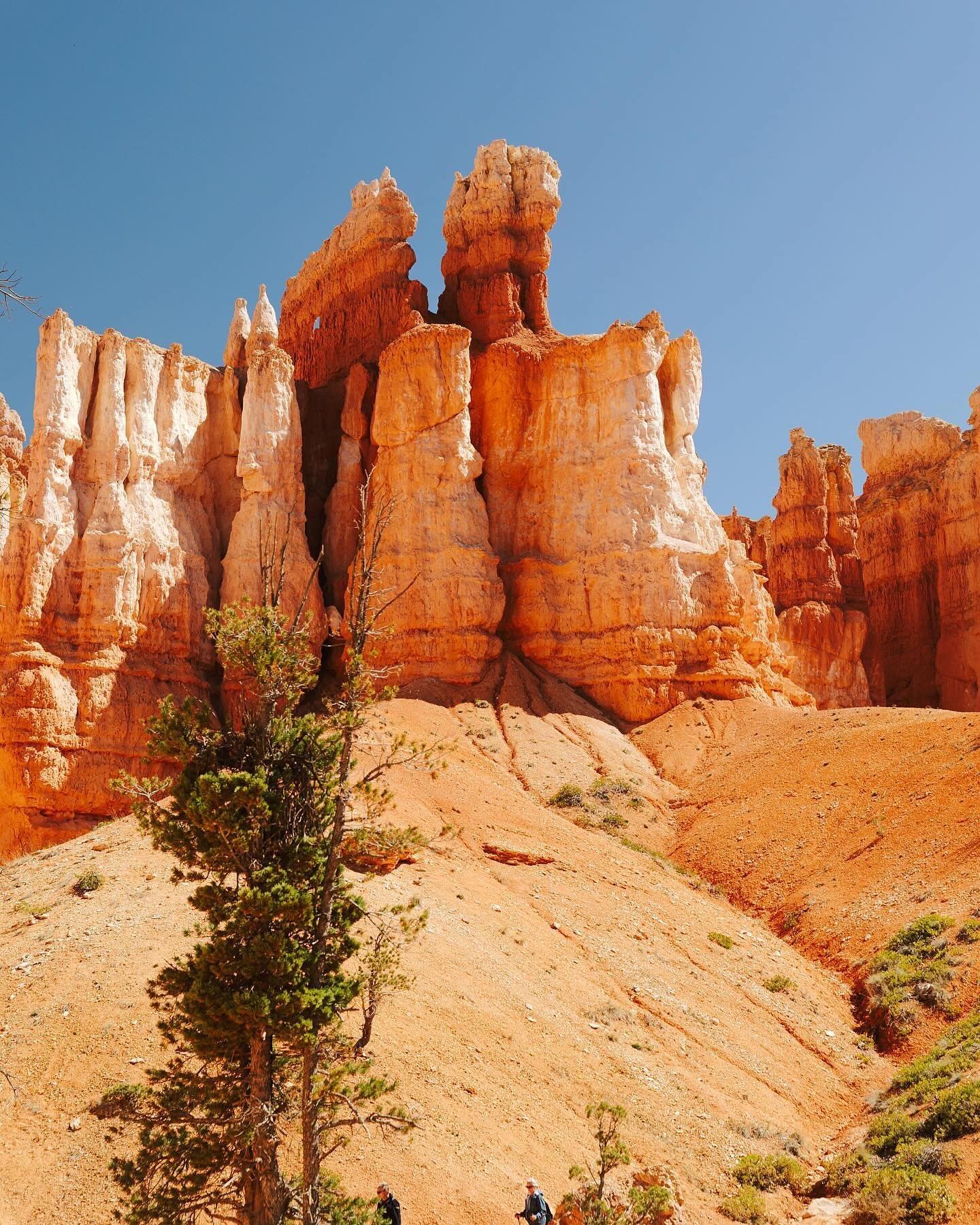 Some favorite photos from our trip to Utah 🏜️🤍

#zion #brycecanyon #kolobcanyon #utah #nationalpark #landscapephotography #landscape #landscapelovers #pittsburghphotographer #sunset #nightphotography #canyons #travelphotography #canon #outwest