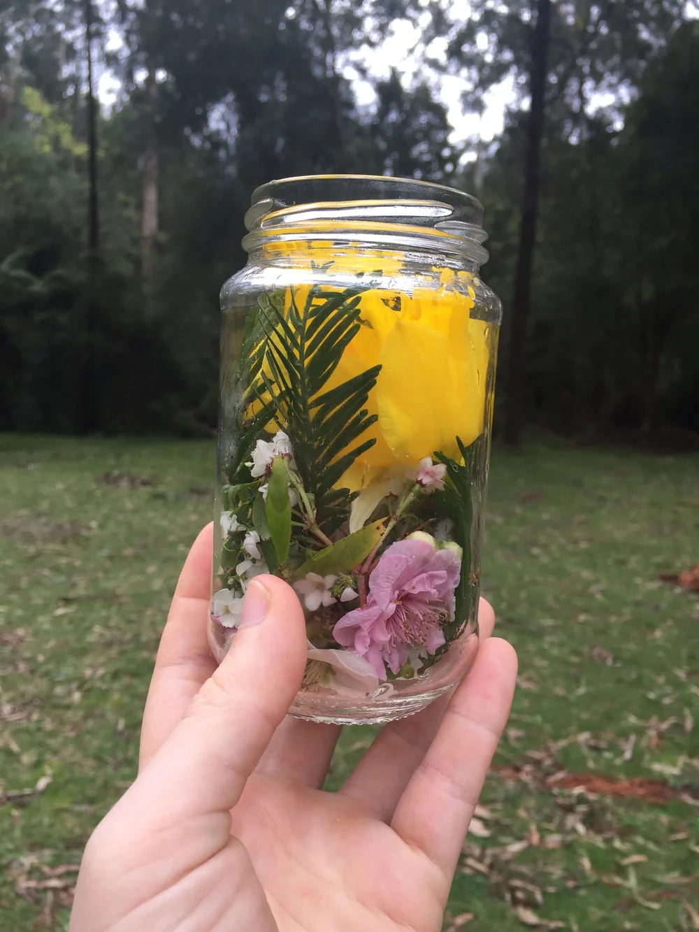 Spring Blooms Flower Essence